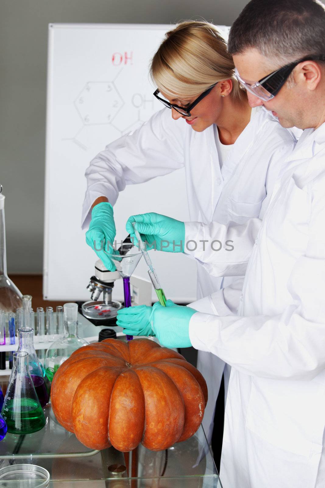 Scientist conducting genetic experiment with pumpkin