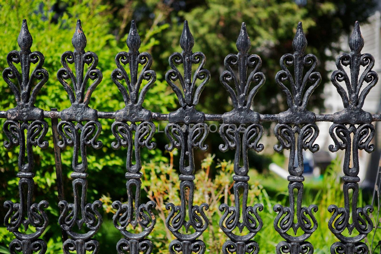 Black painted worn and weathered victorian iron fence