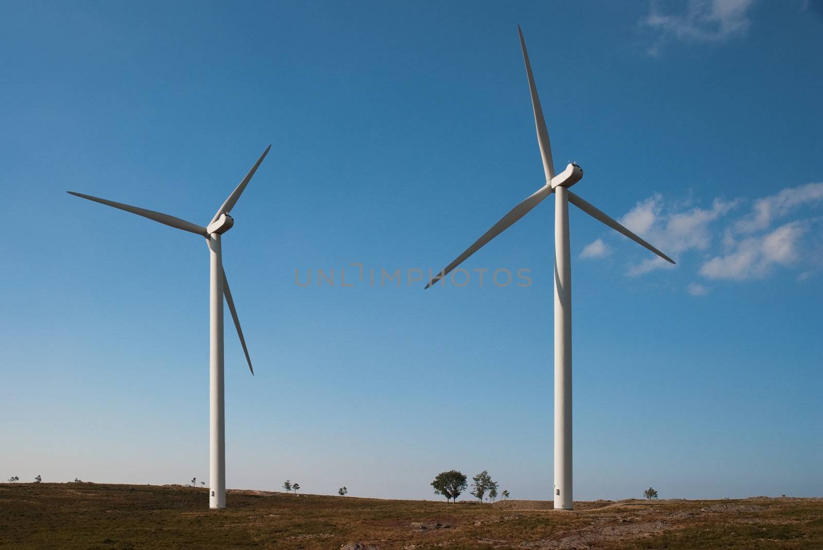 Beautiful meadow with Wind turbines generating electricity.