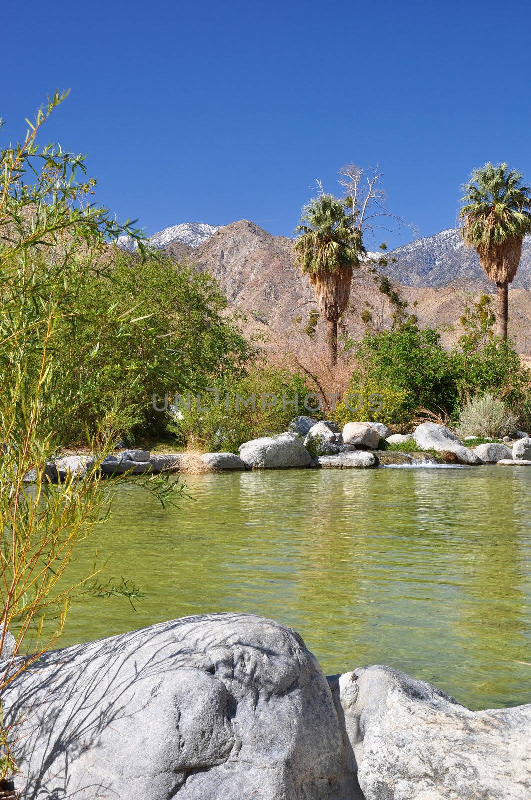 This small pond is a desert oasis in Whitewater Canyon near Palm Springs, California.