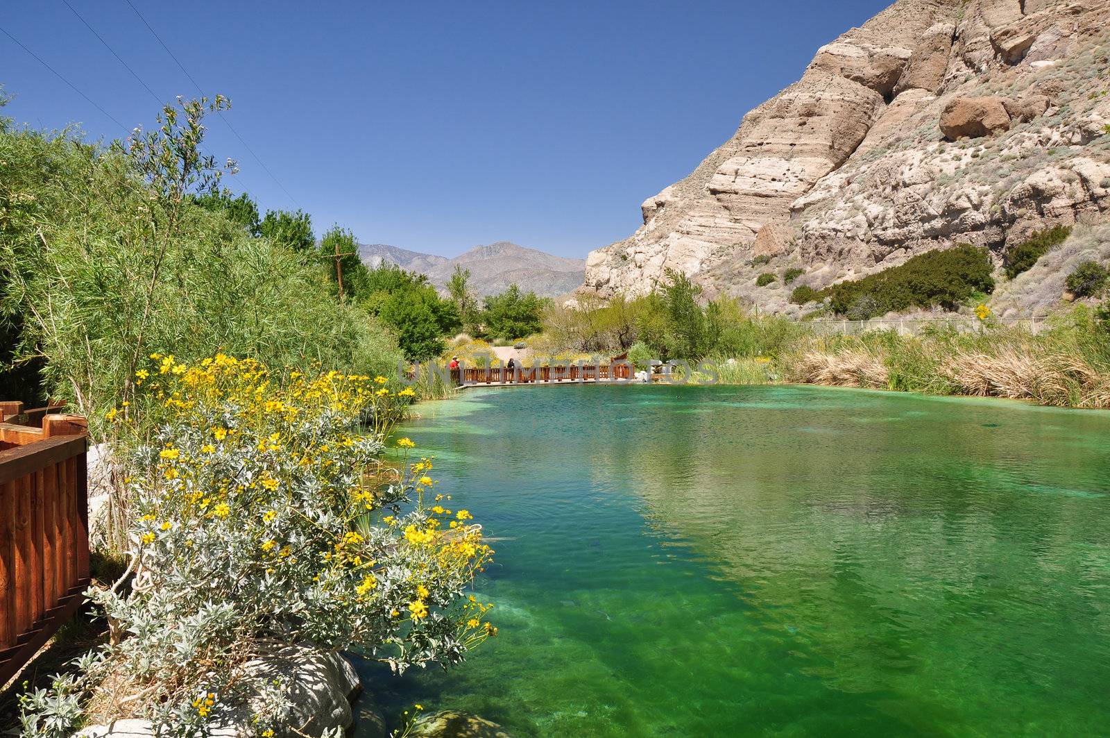 A colorful pond creates a desert oasis near the town of Palm Springs, California.