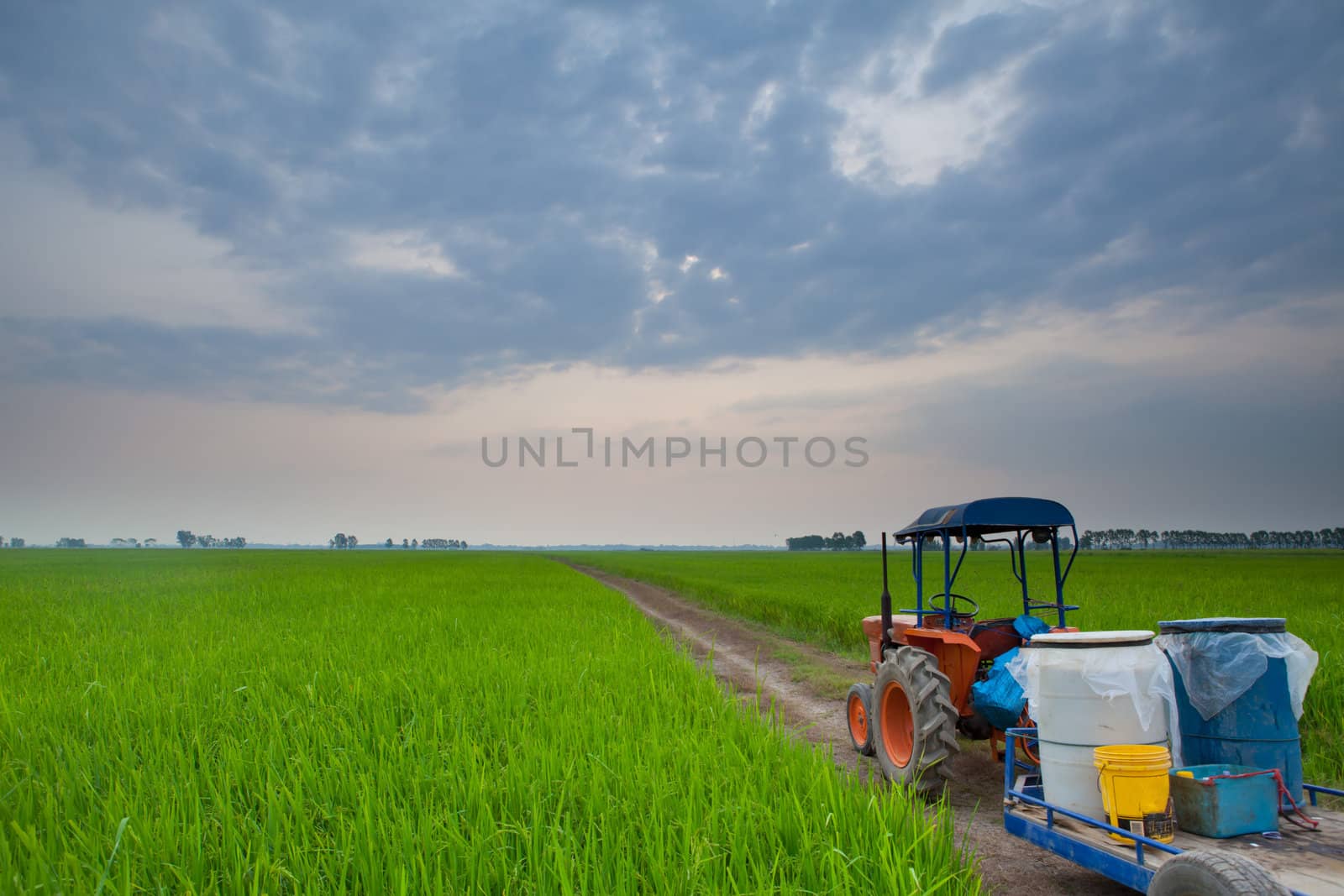 tractor in meadow green countryside on sunset