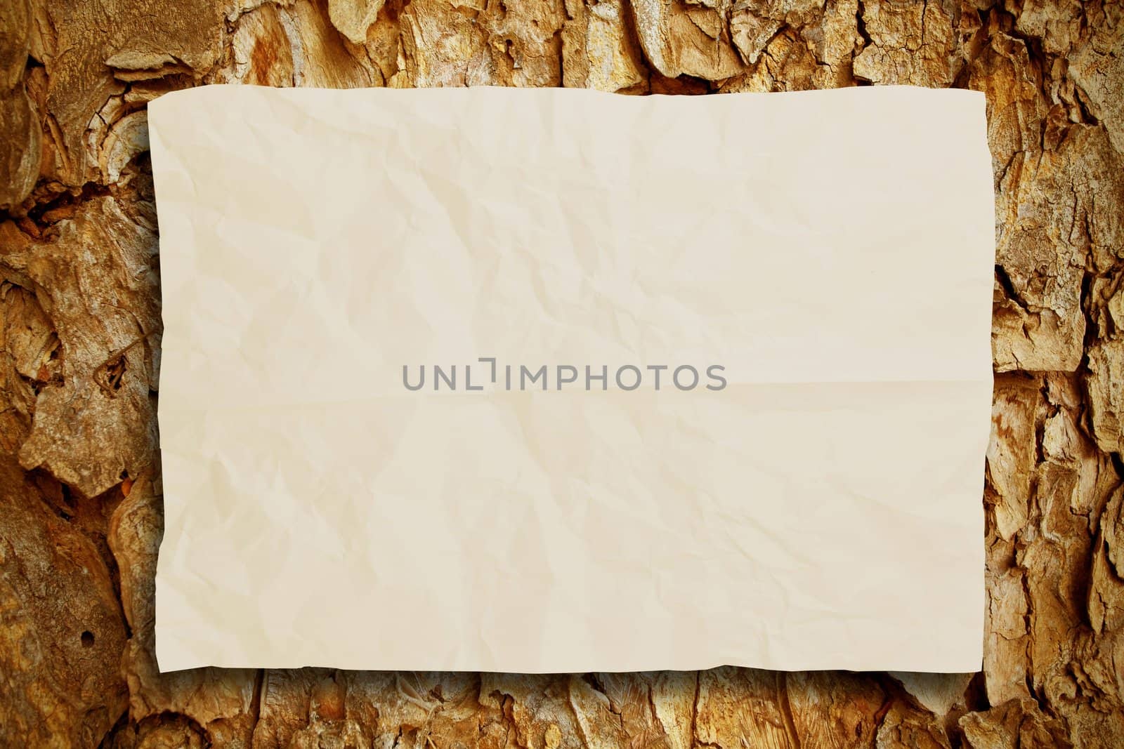 Crumpled paper on old bark pattern