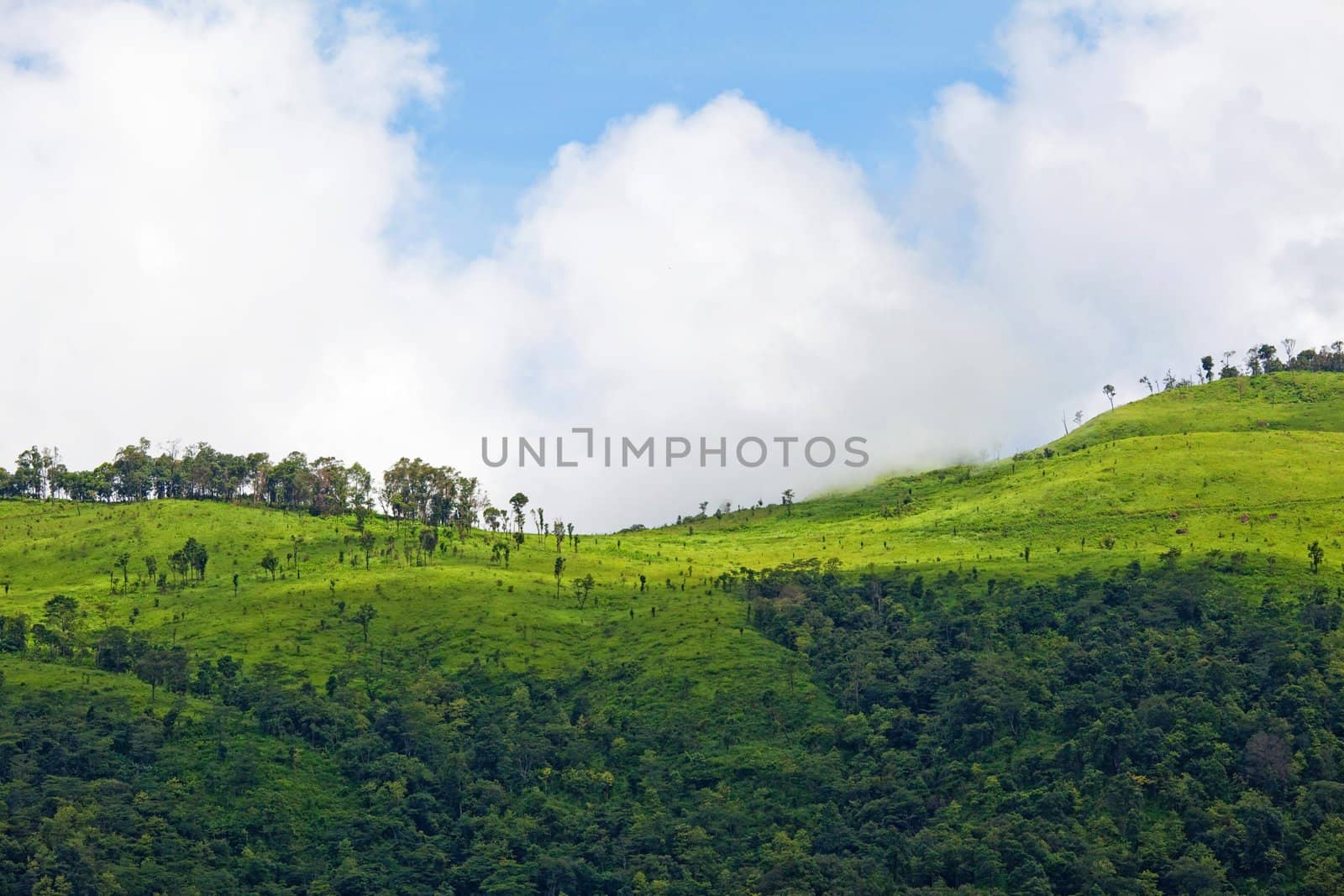 Mountain by green grass and cloudy blue sky