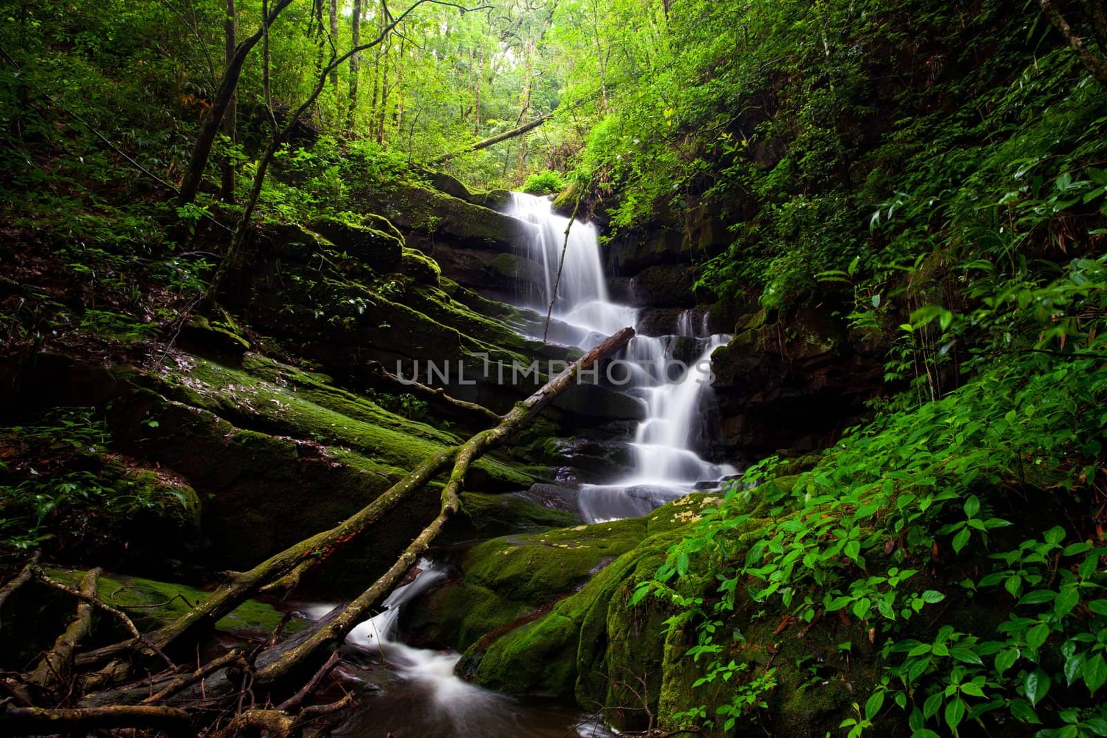 Deep forest Waterfall in Thailand