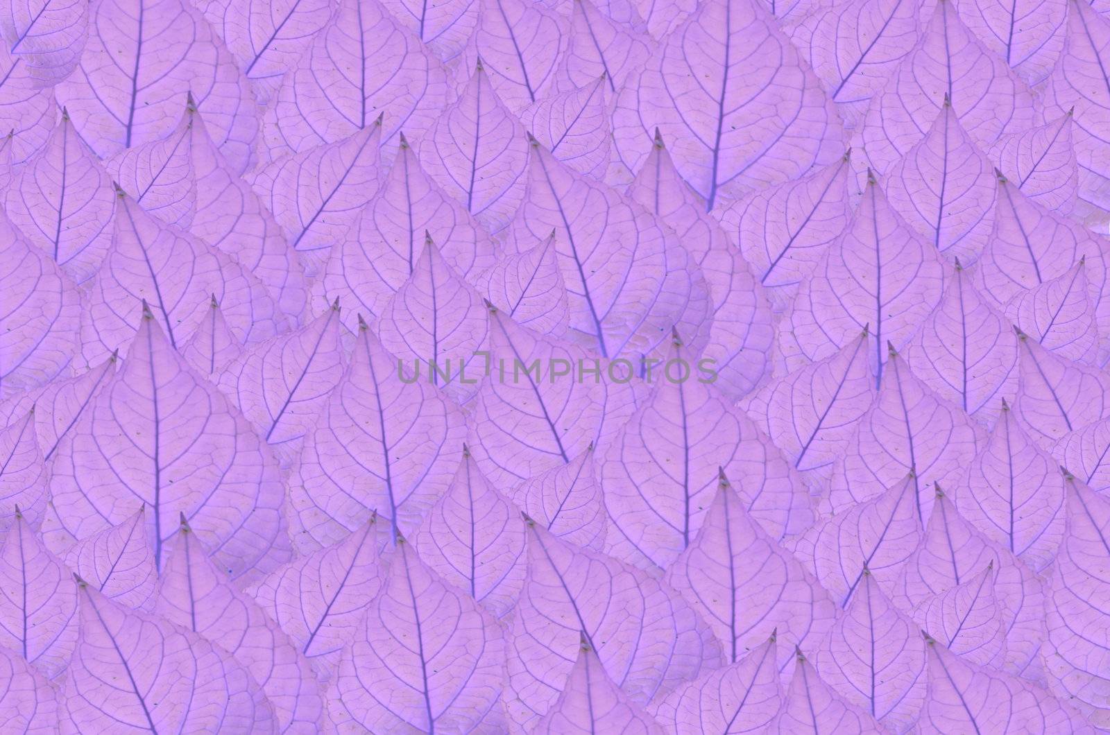 art  background with  violet leaves   , abstract wallpaper
