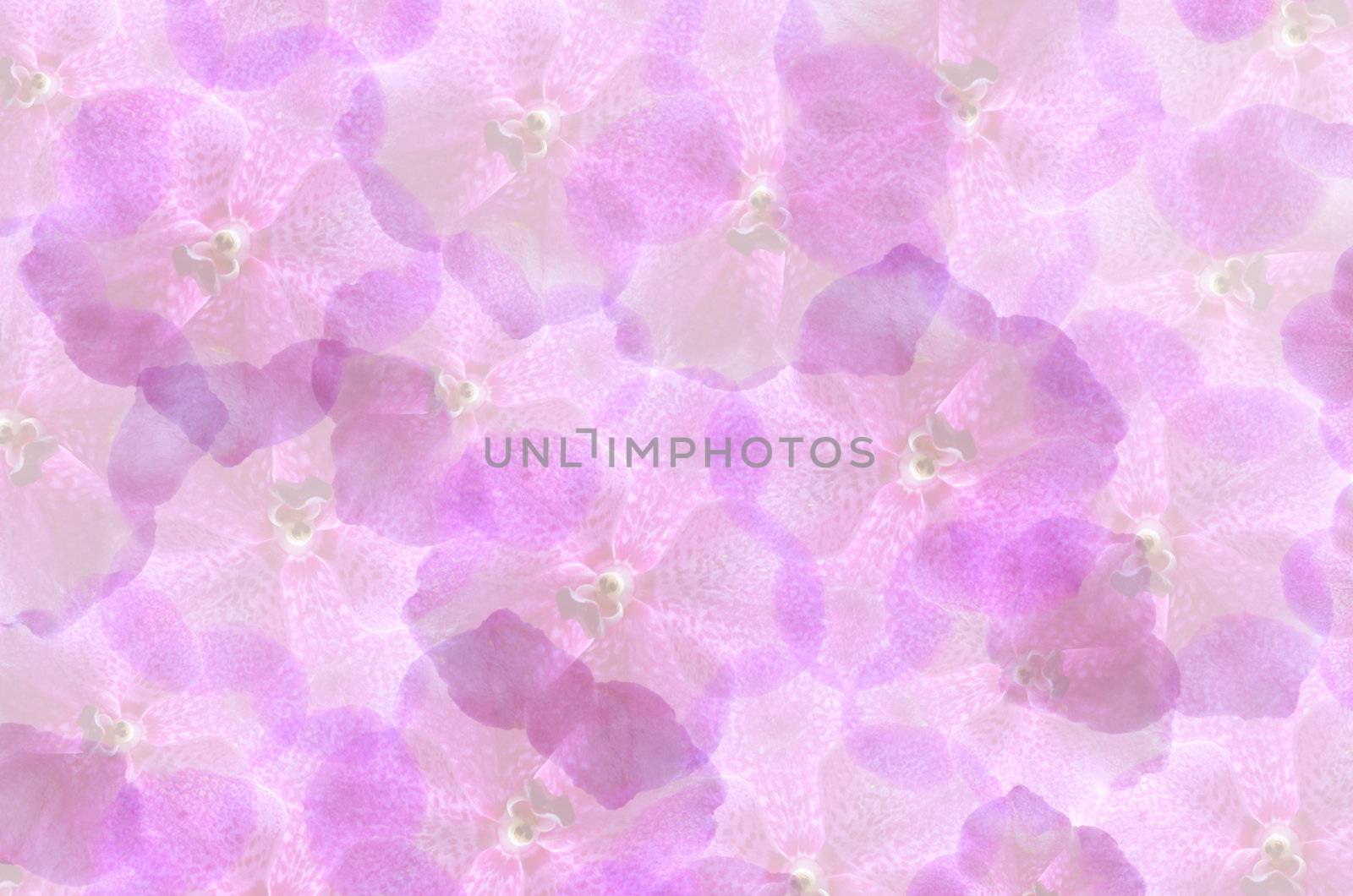 art  background with violet  flowers  , abstract wallpaper