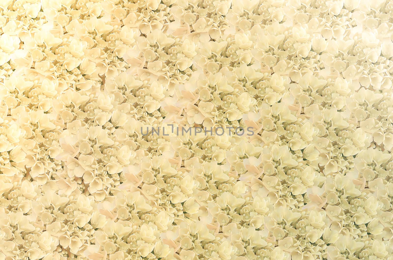 art  background with flowers  , abstract wallpaper