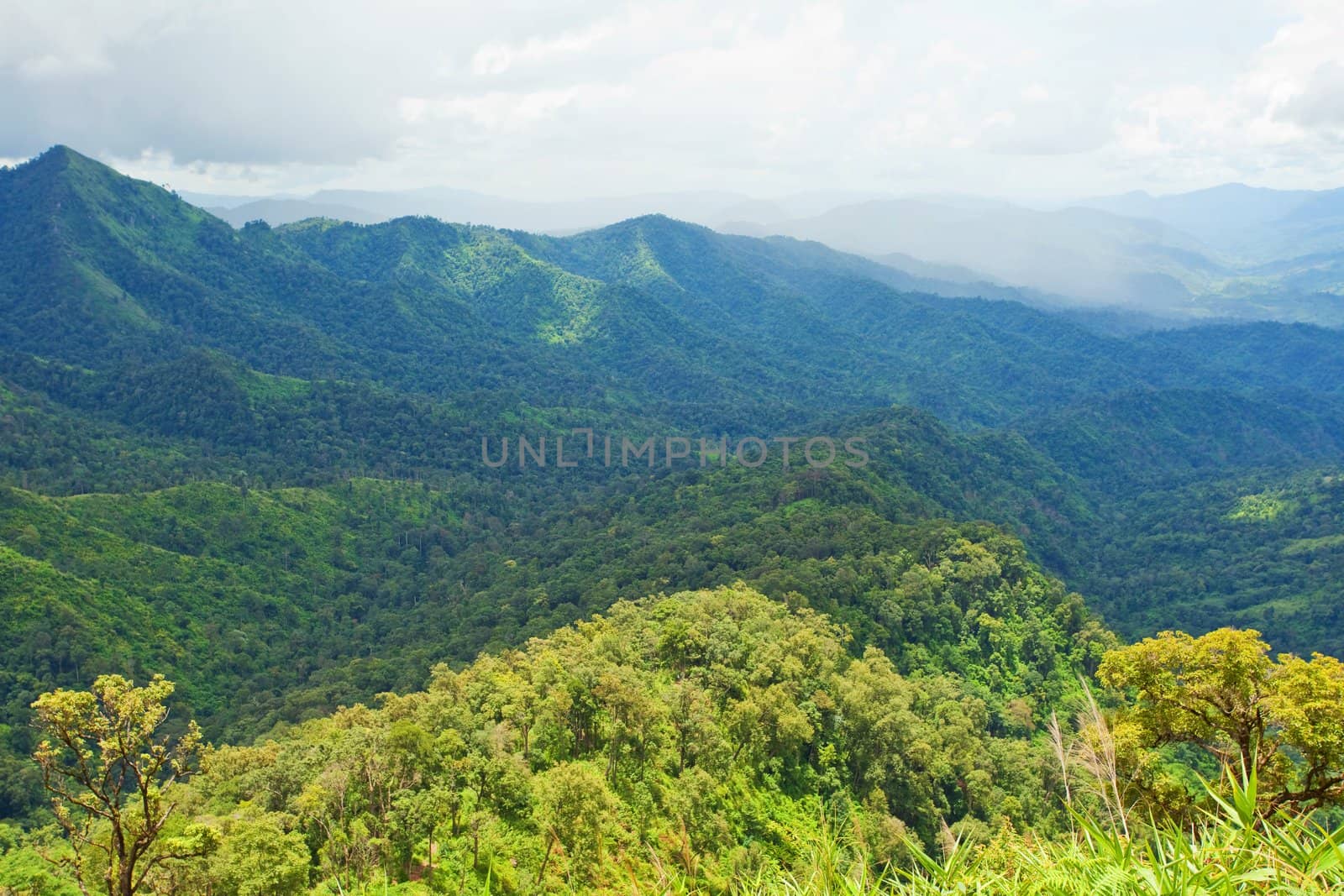Mountain by green grass and cloudy blue sky