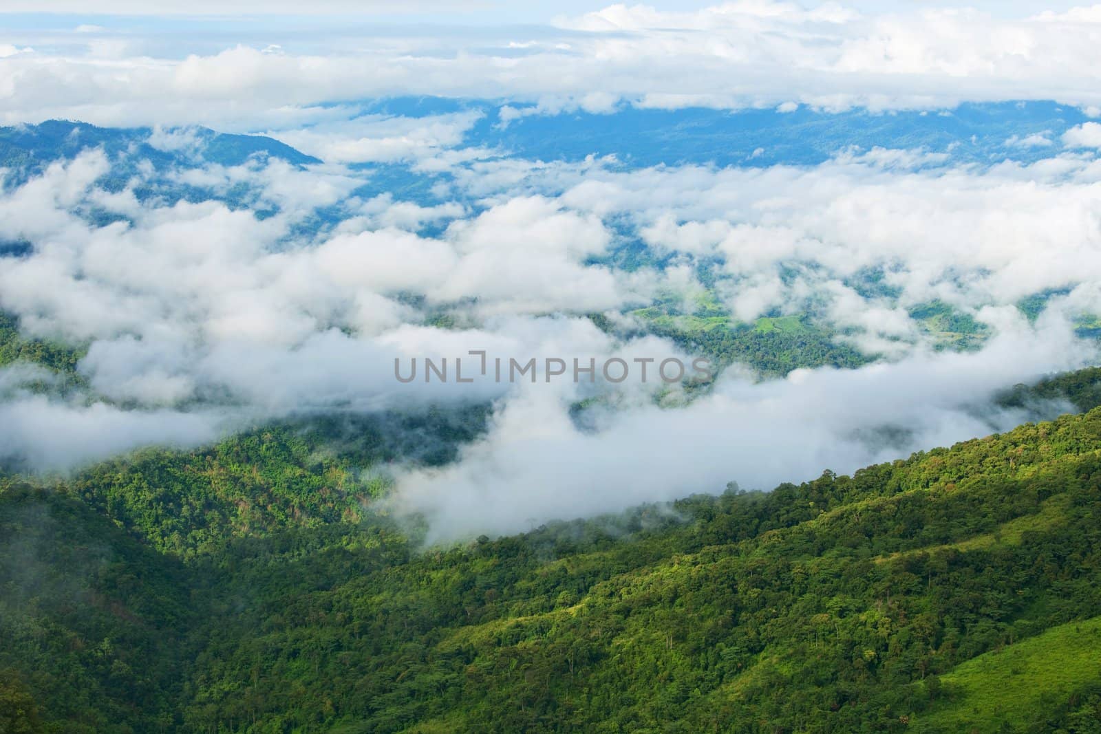 Mountain by green grass and cloudy blue sky