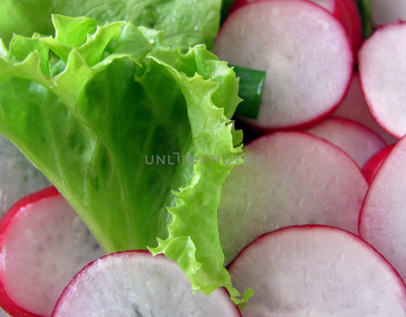 vegetarian food: radish and salad