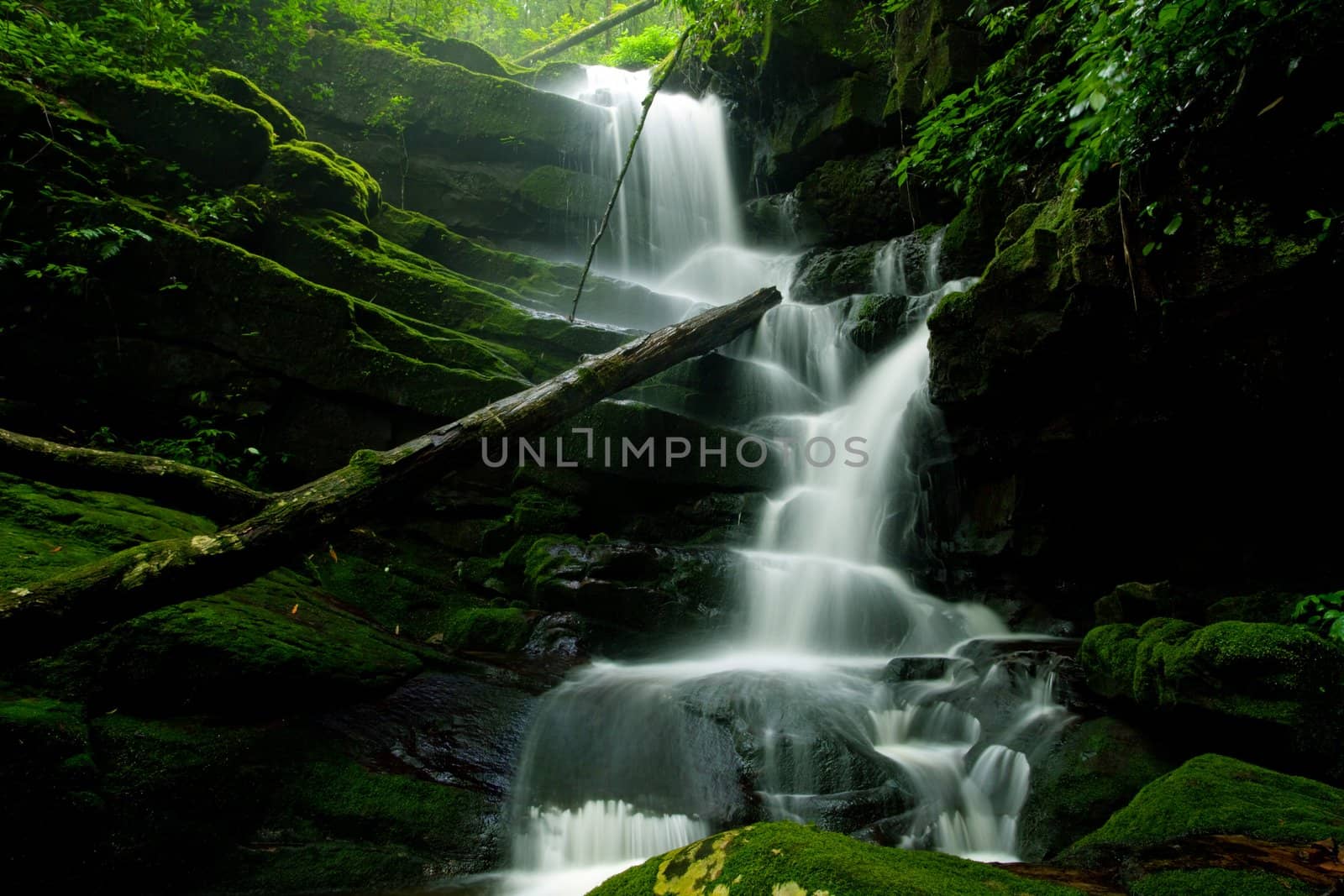 Deep forest Waterfall in Thailand