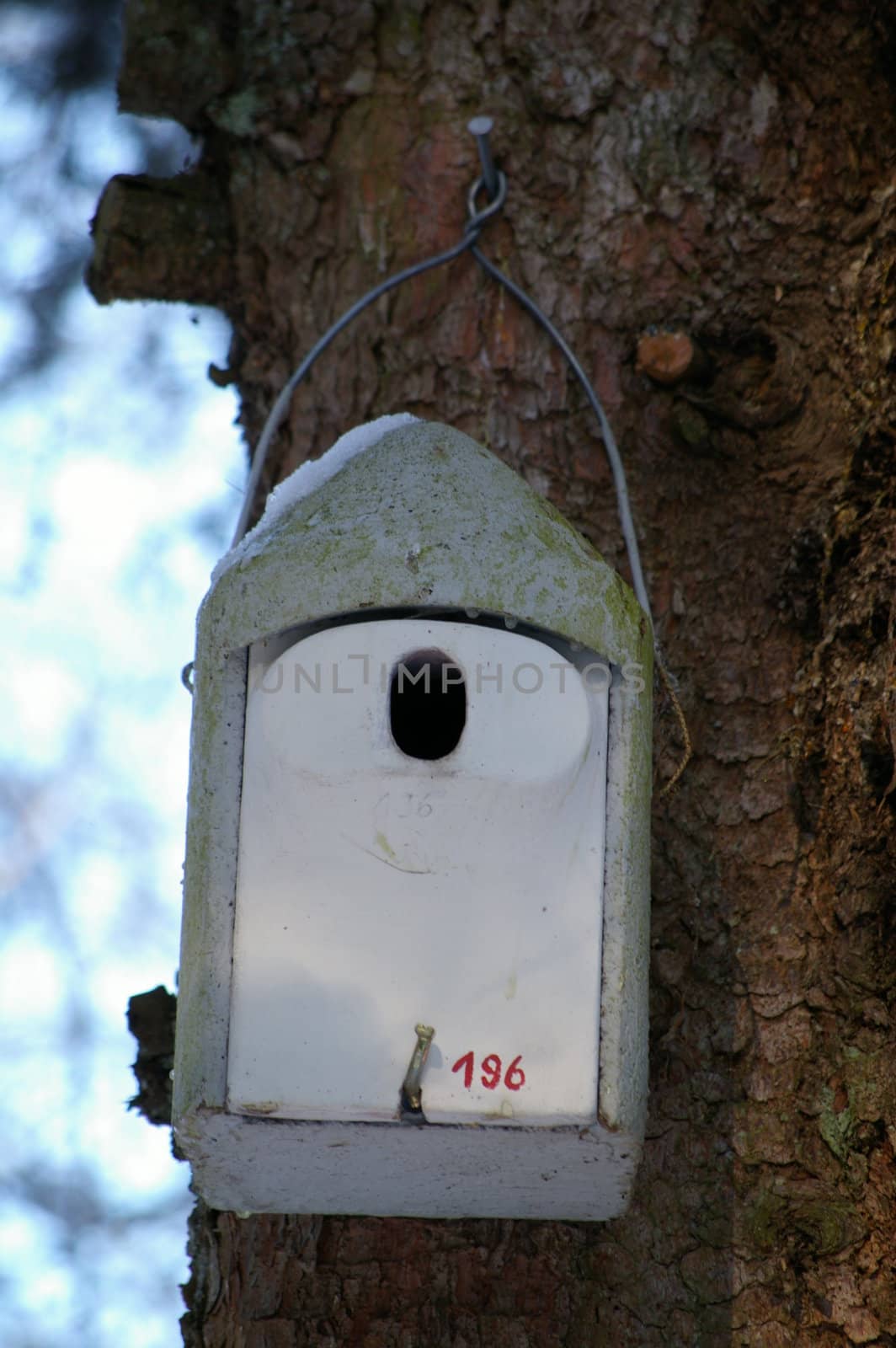 a birdhouse on a tree