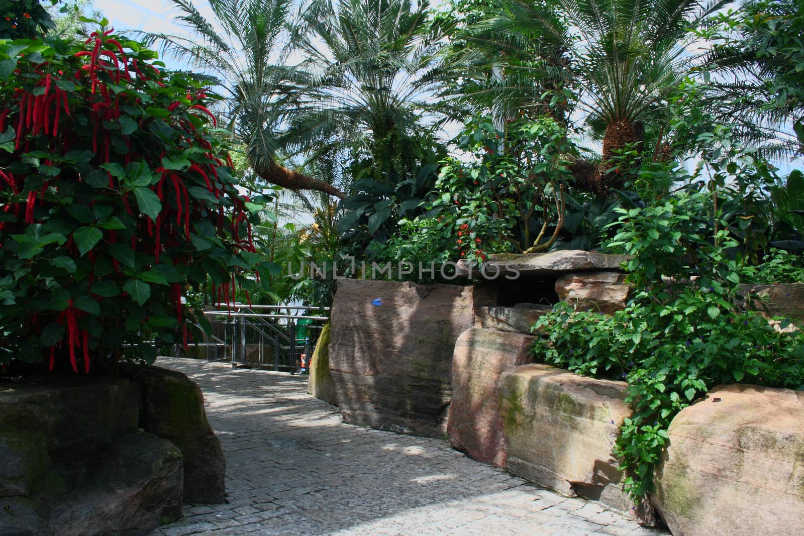 butterfly conservatory, tropical indoor park by njene