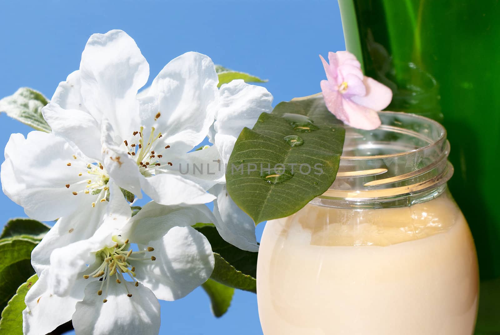 Female cream for care of a skin from natural curative plants and flowers