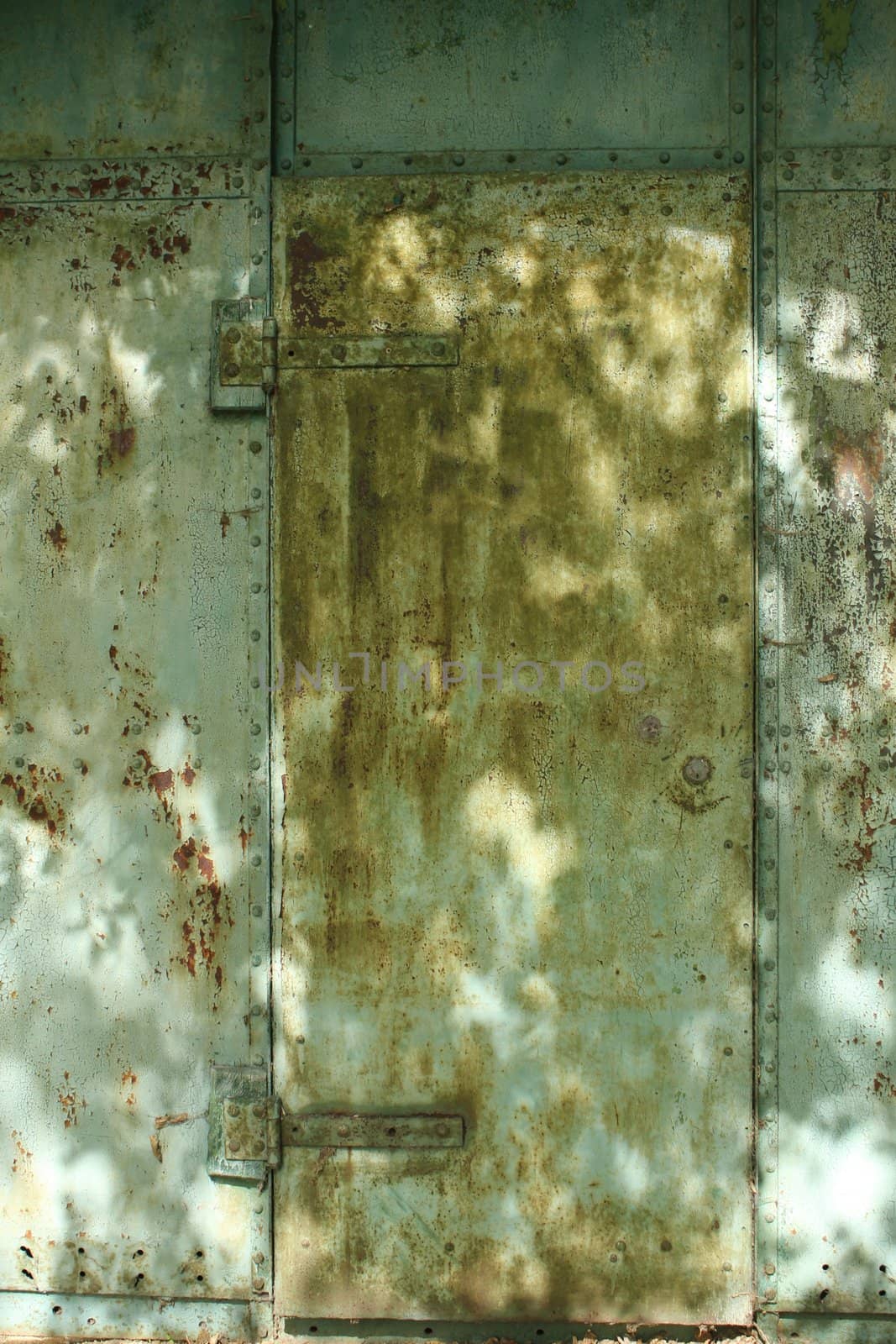 old metal door