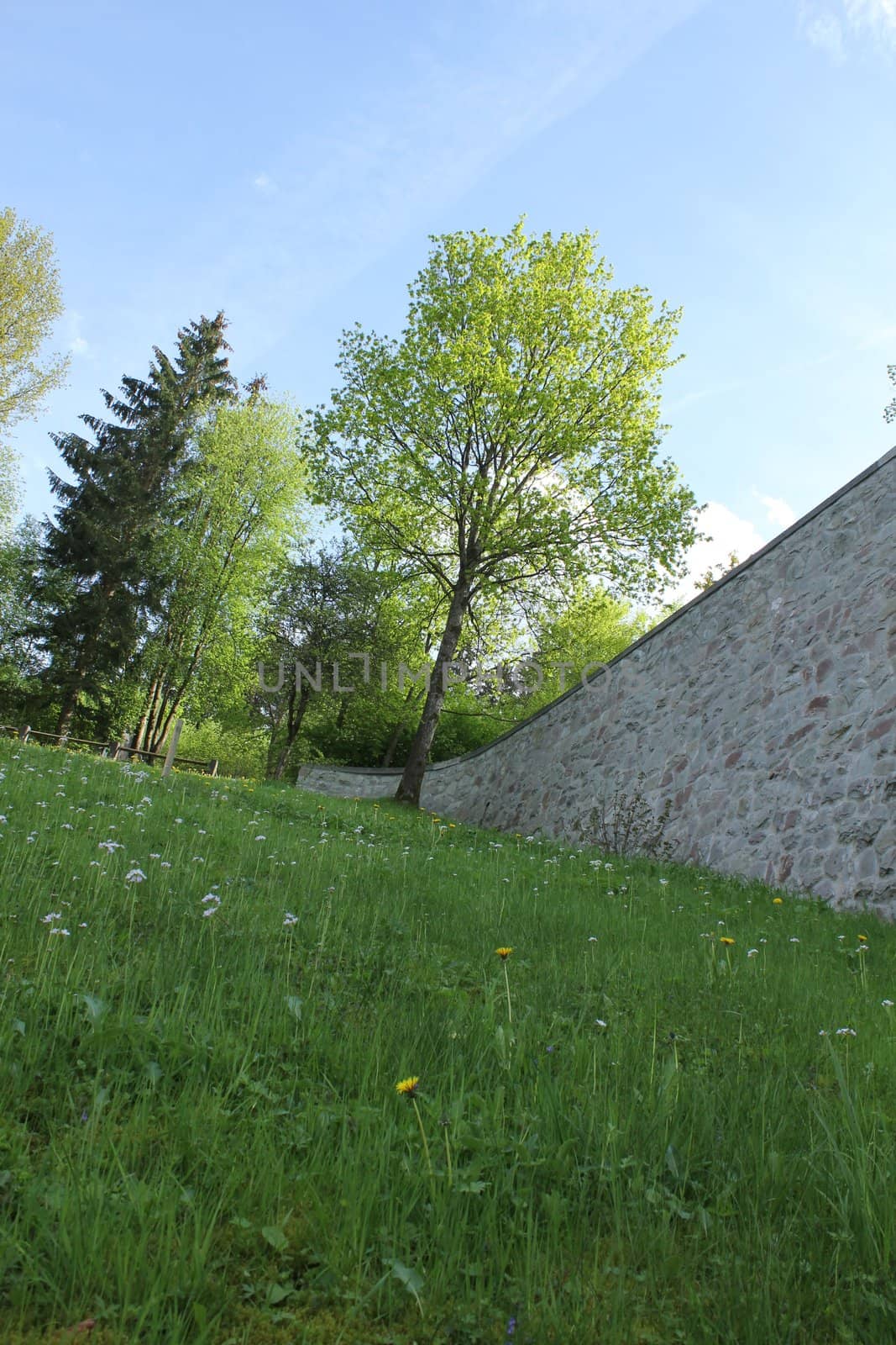 spring meadow corner