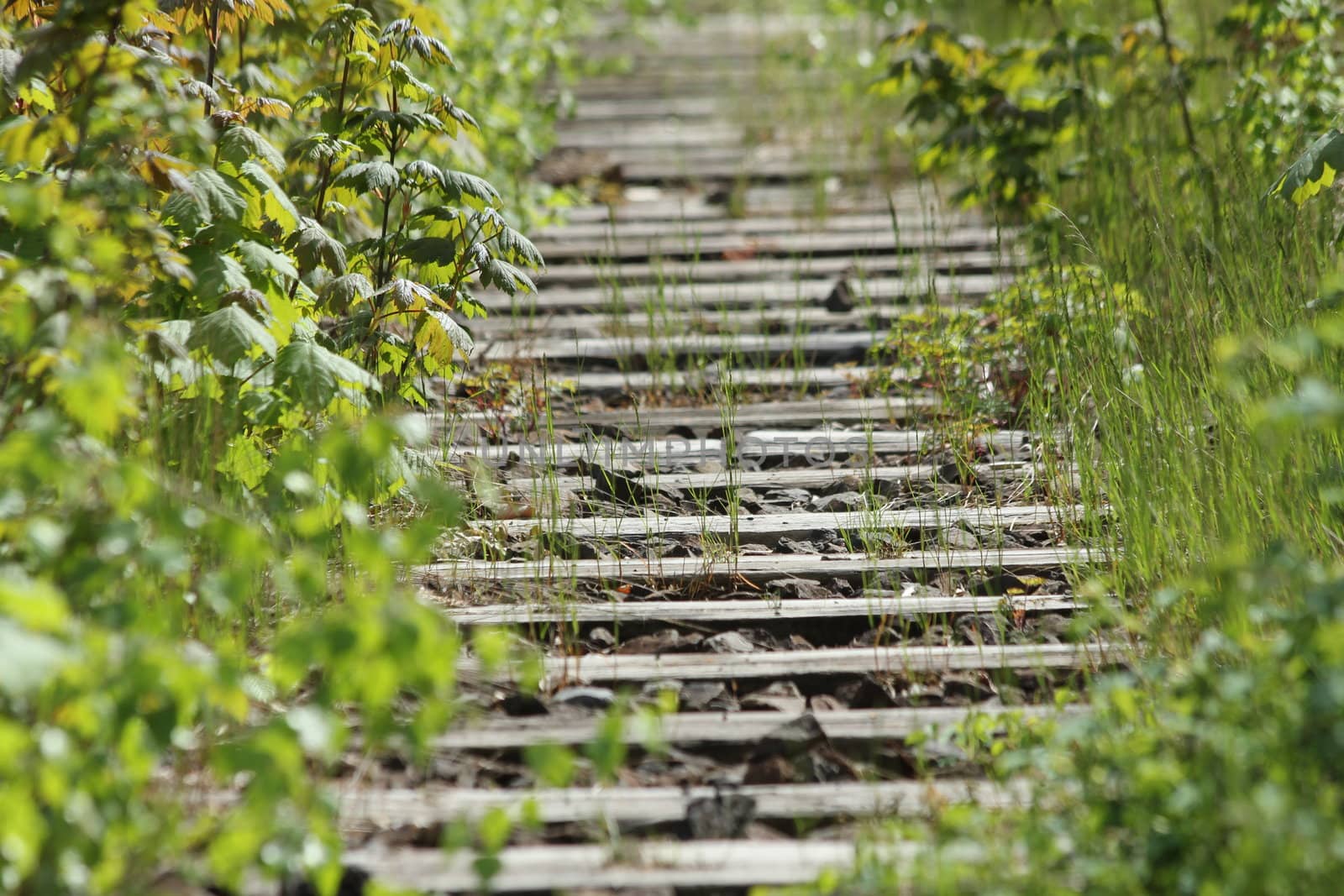 old railway track by Teka77