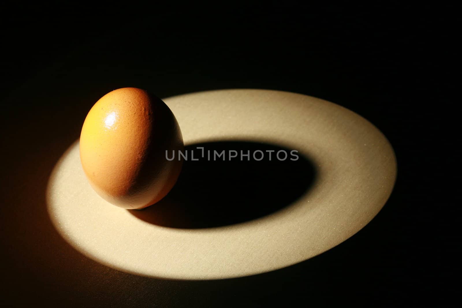 Big Egg by yucas