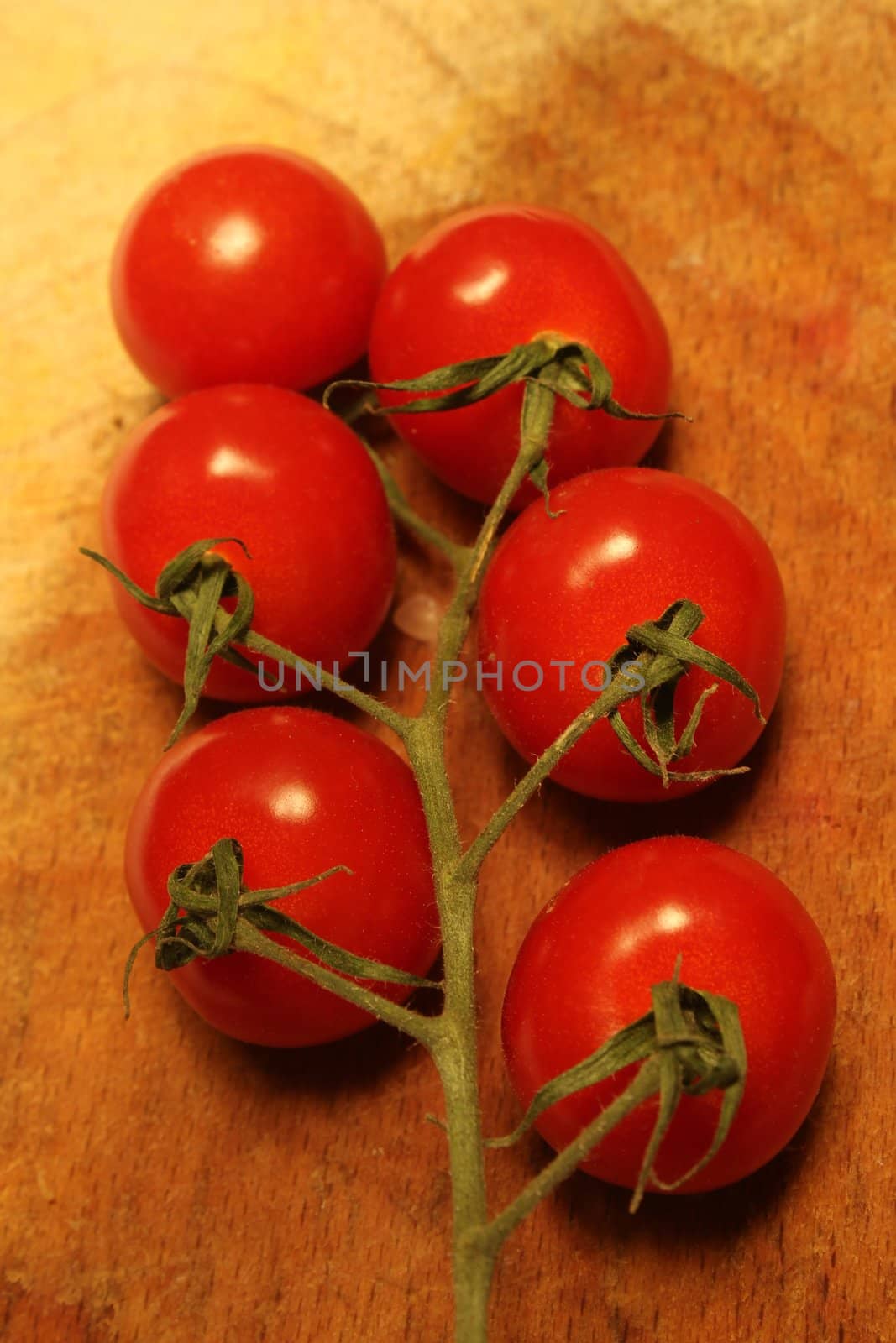 tomato branch