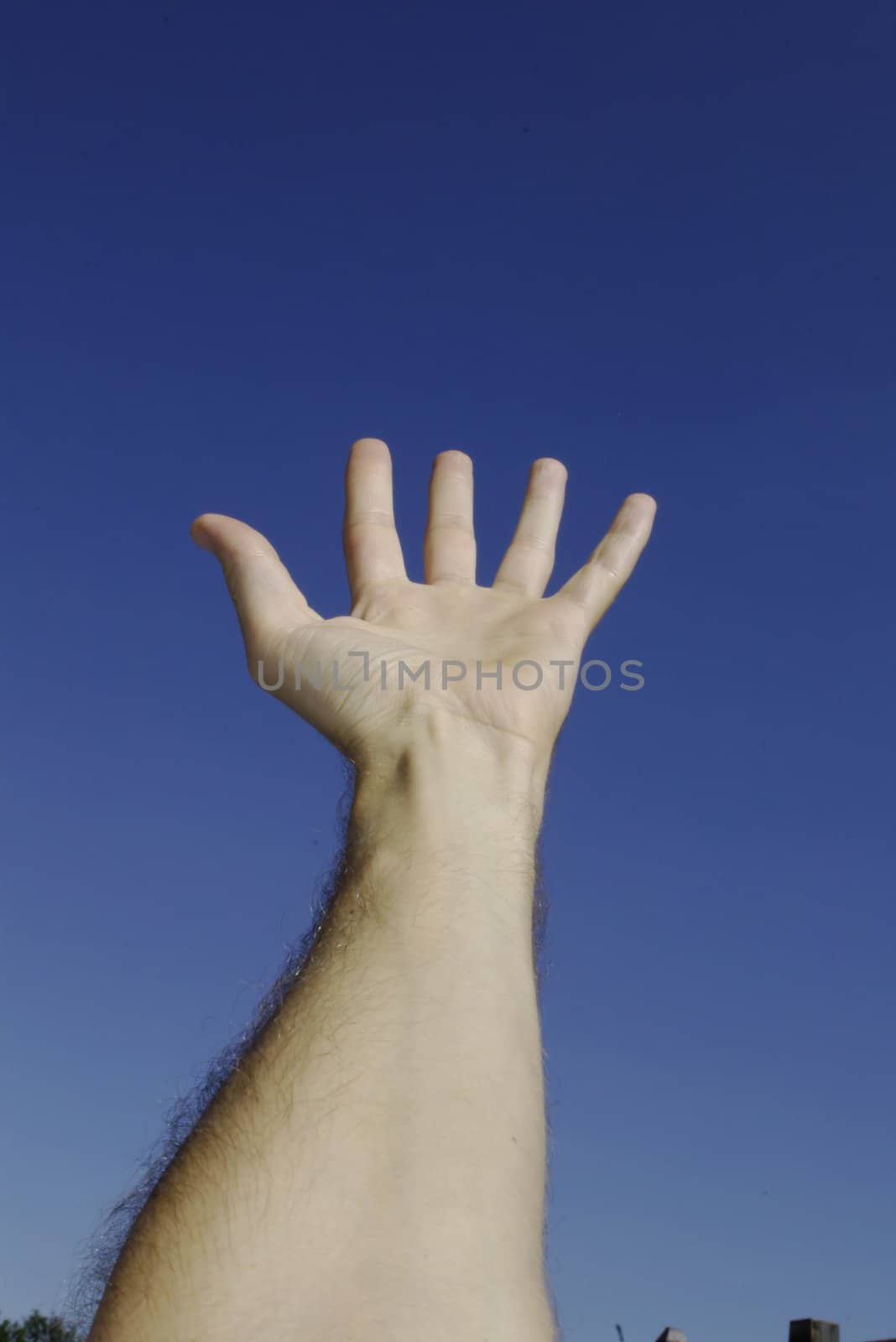 Hand reaches sky