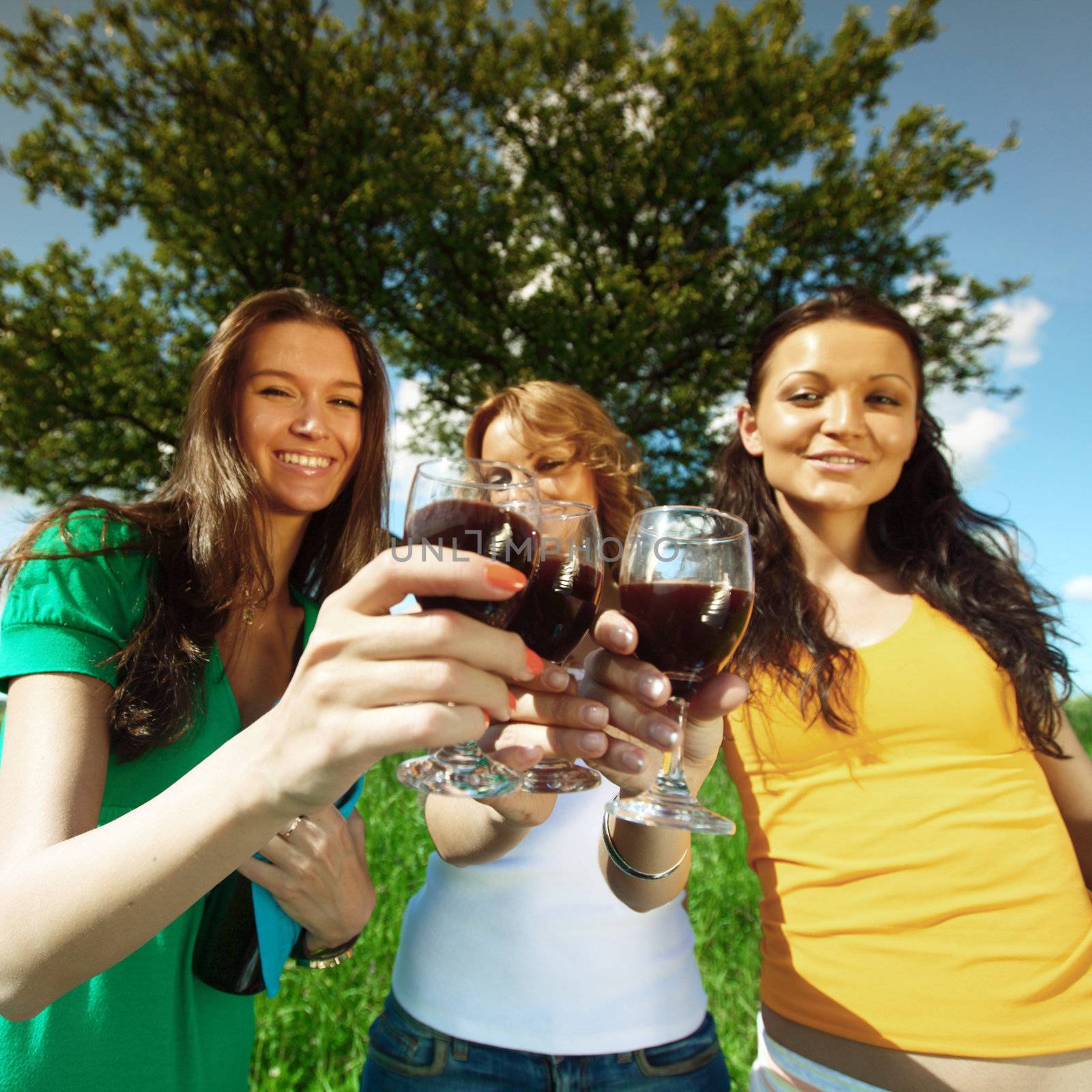 very fun girlfriends on picnic 