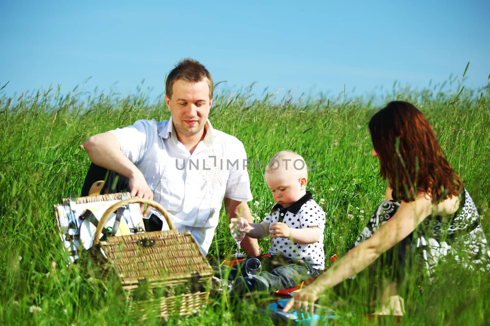  picnic of happy family on green grass