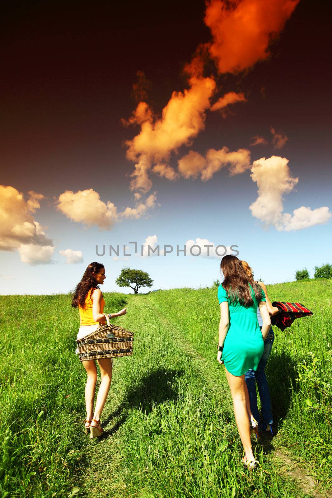 very fun girlfriends on picnic 