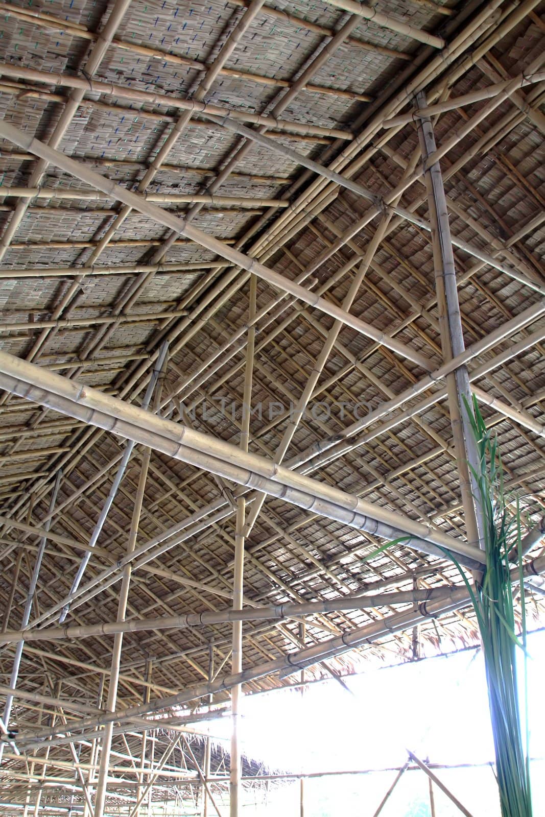 Roofs made from Bamboo by phanlop88