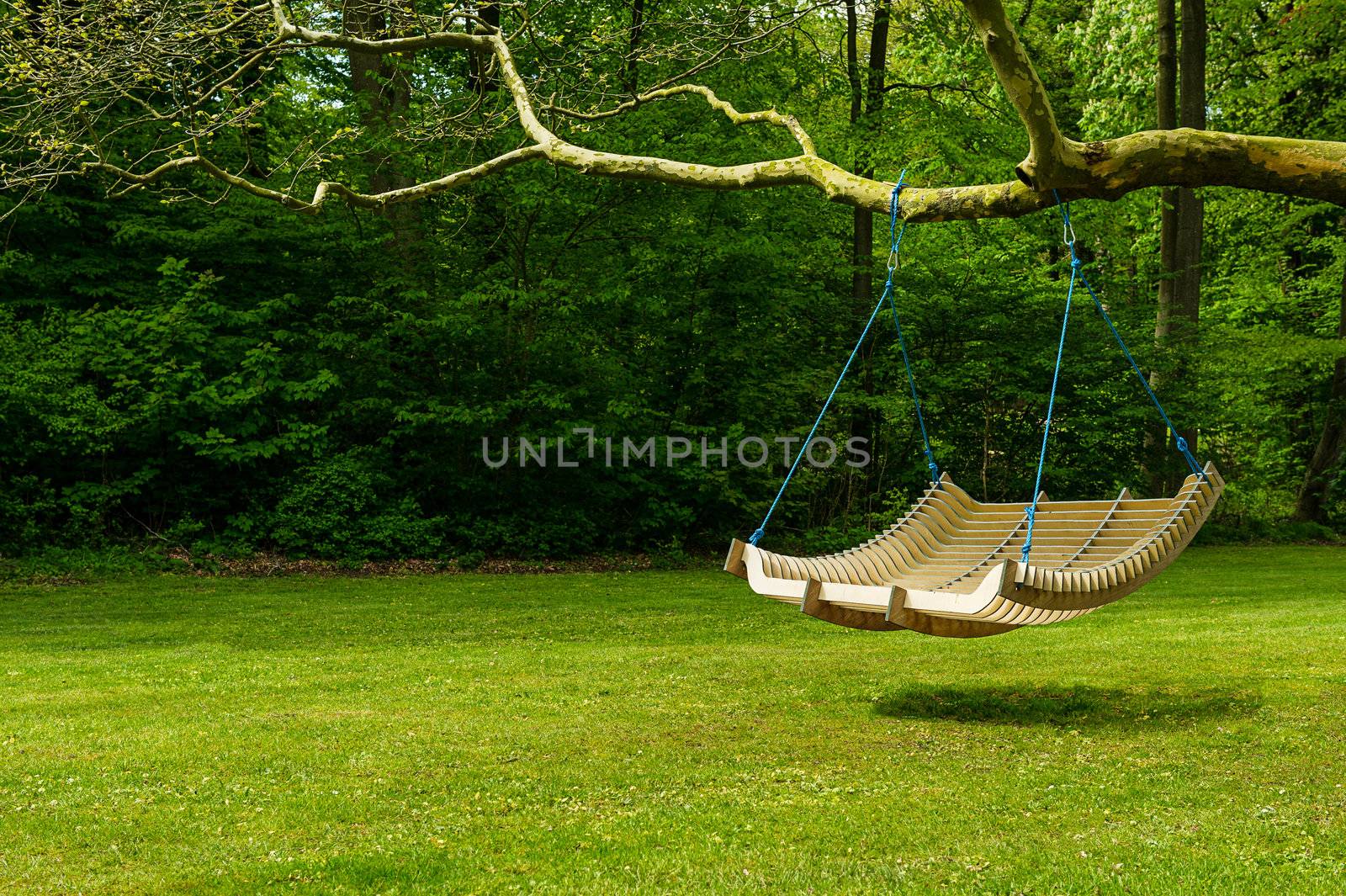 Curved swing bench hanging from the bough of a tree in a lush garden with woodland backdrop for relaxing on those hot summer days
