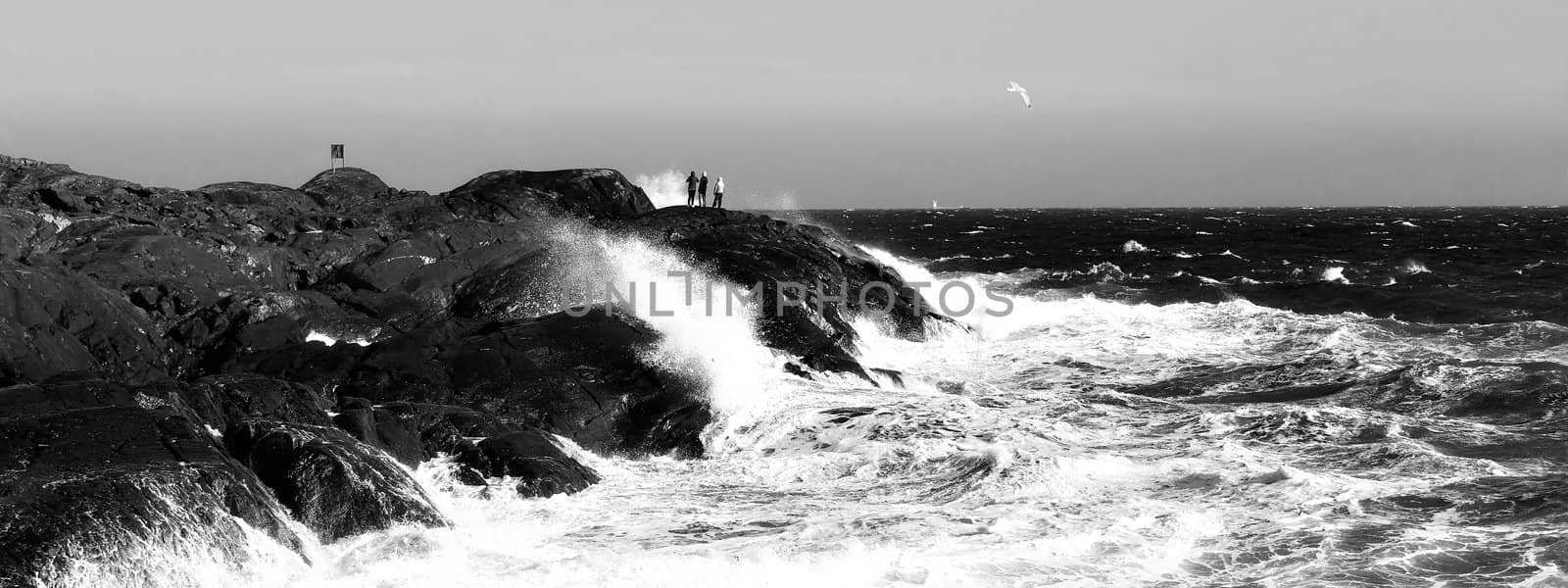 Black and white picture of stormy weathers at the Norwegian coast