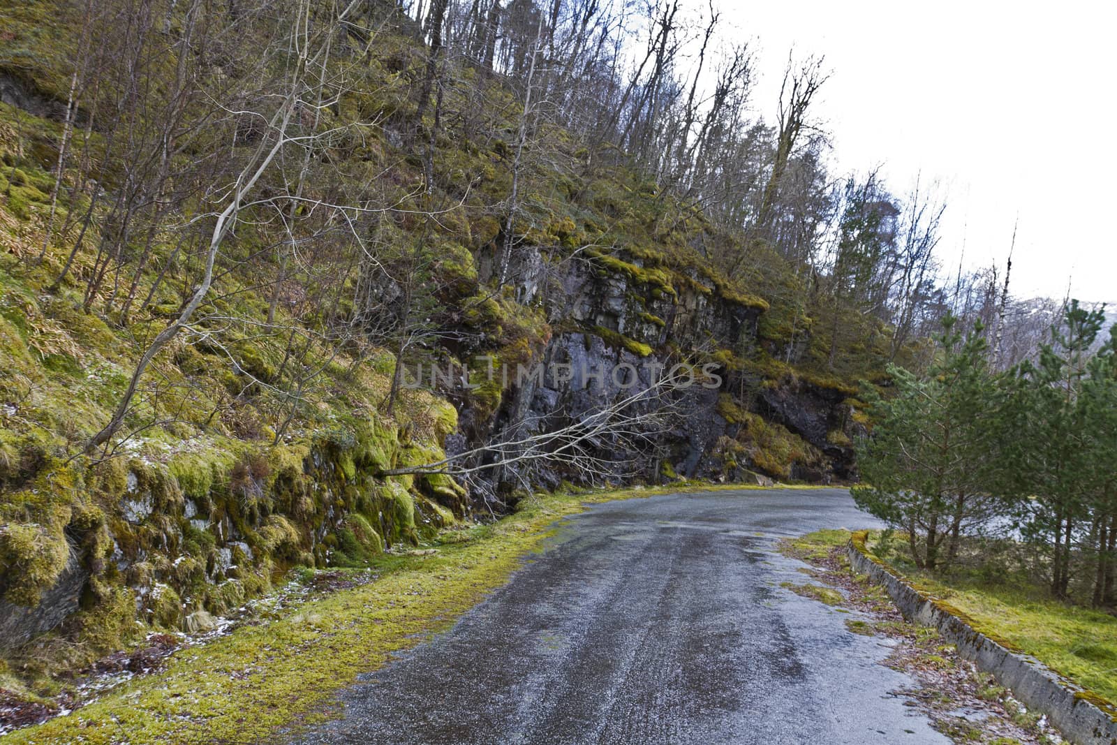 unused, run-down road in rural landscape - norway