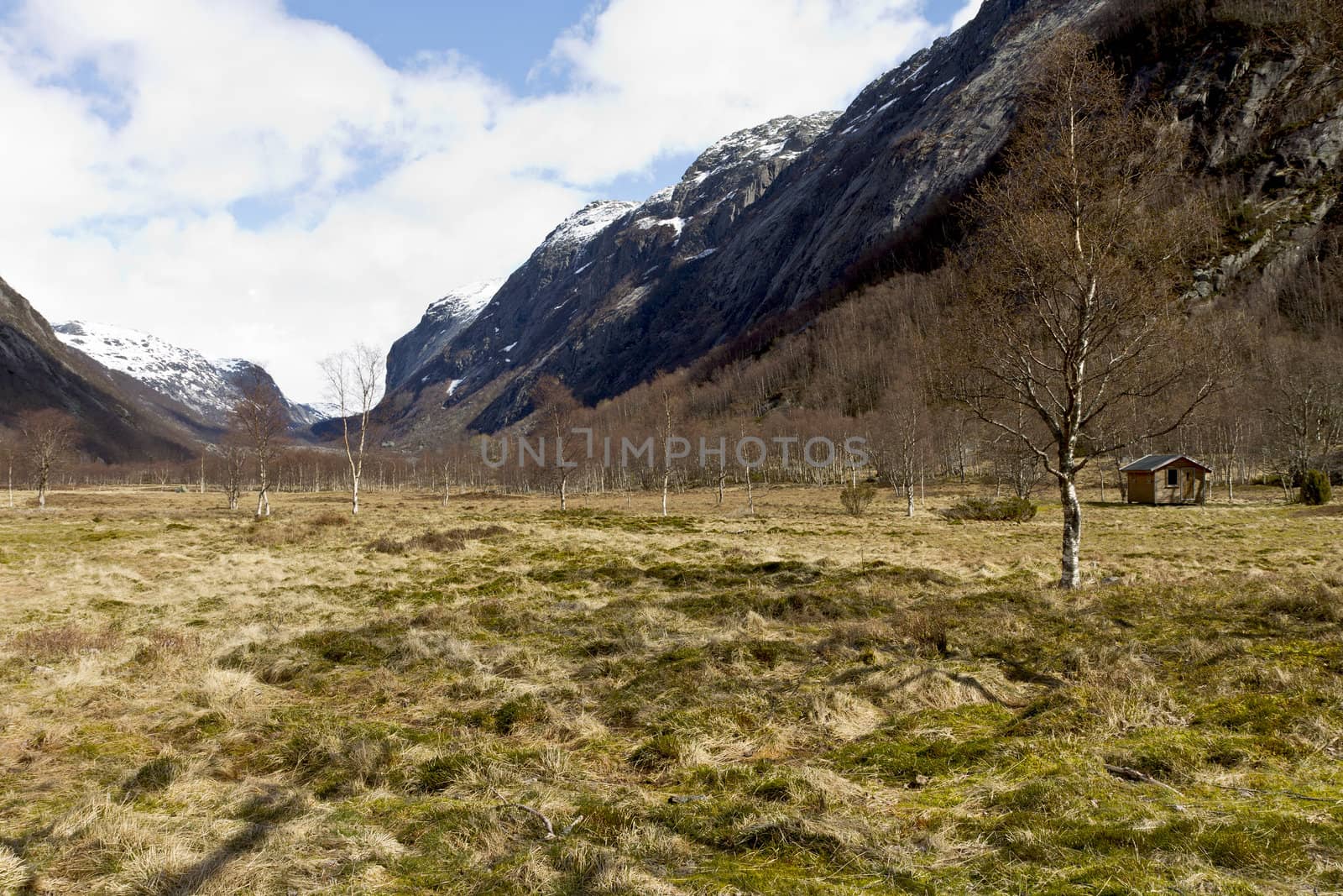 rural landscape with mountains in background. norway