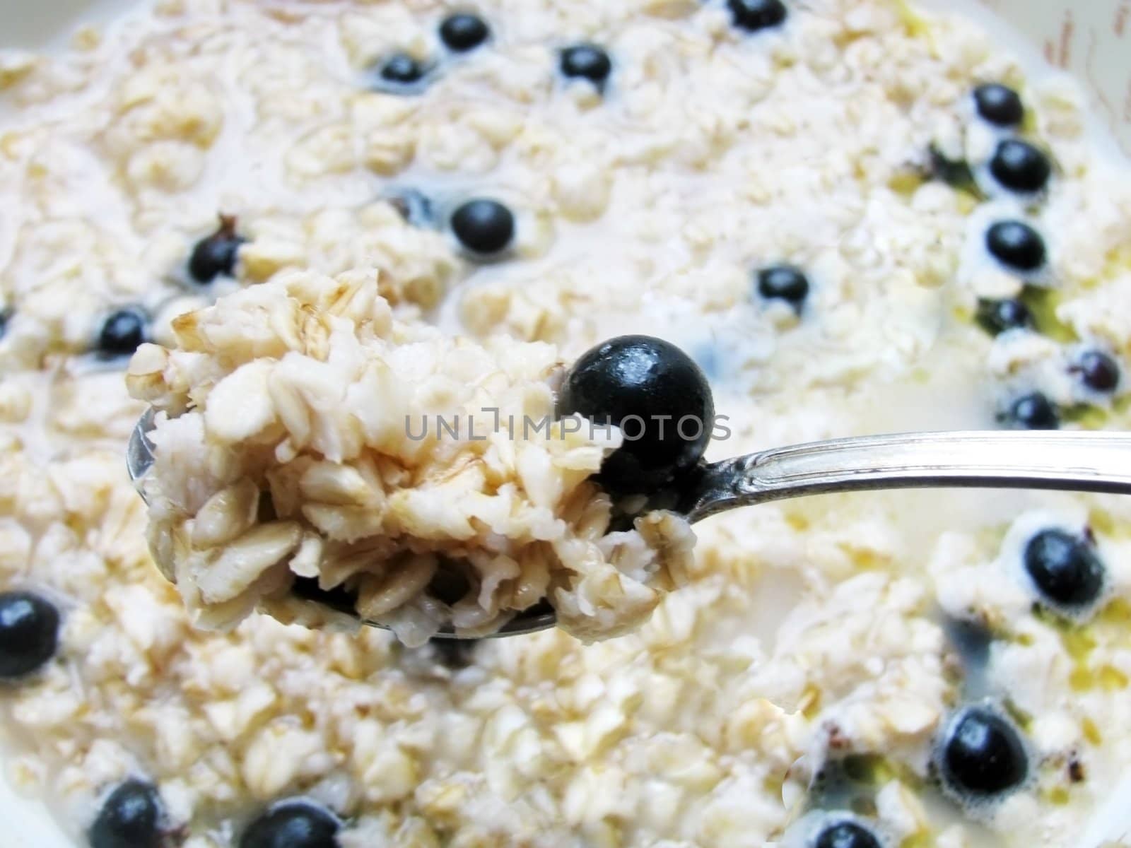 oatmeal porridge with black currants