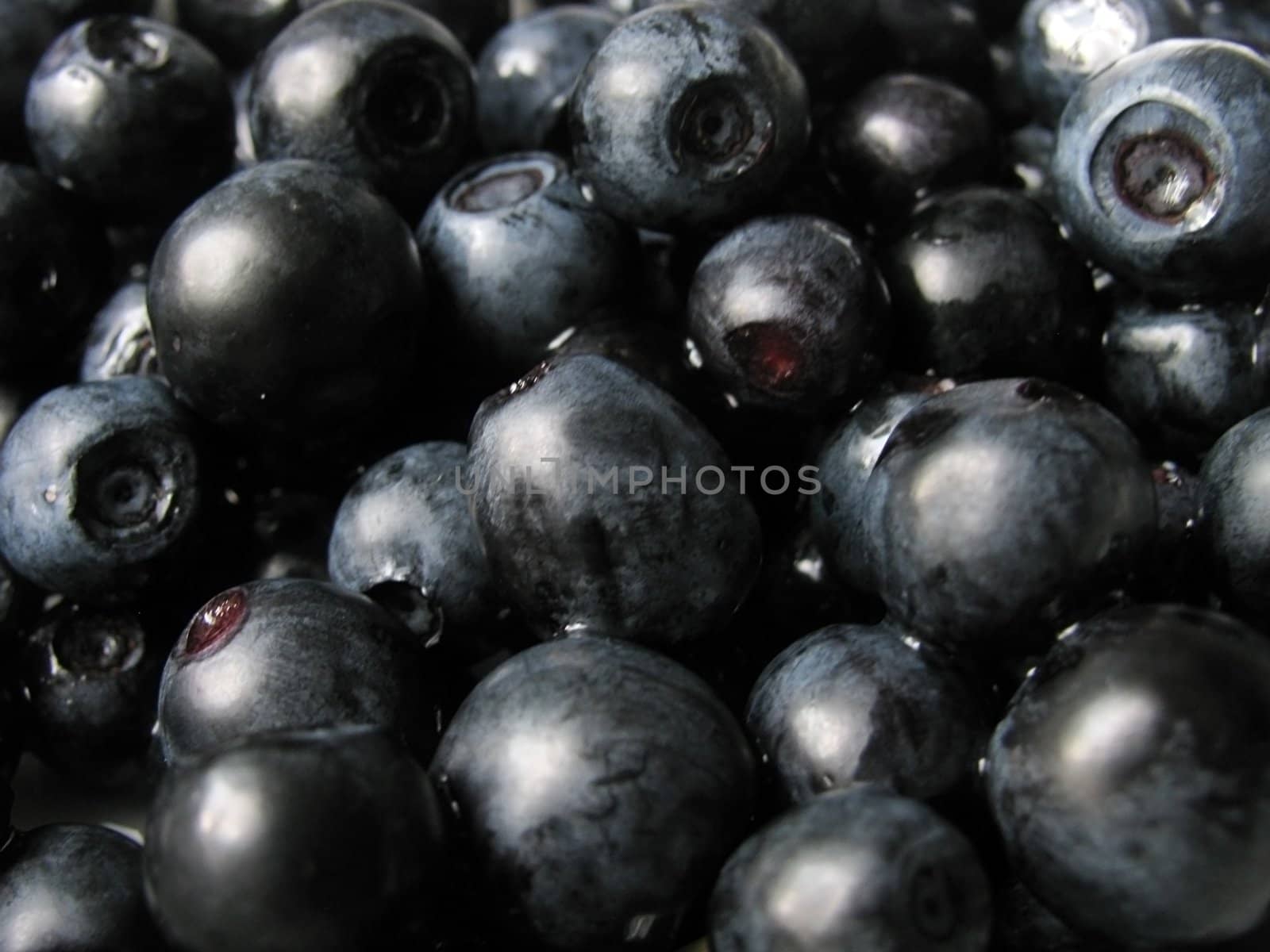 close up of bilberries