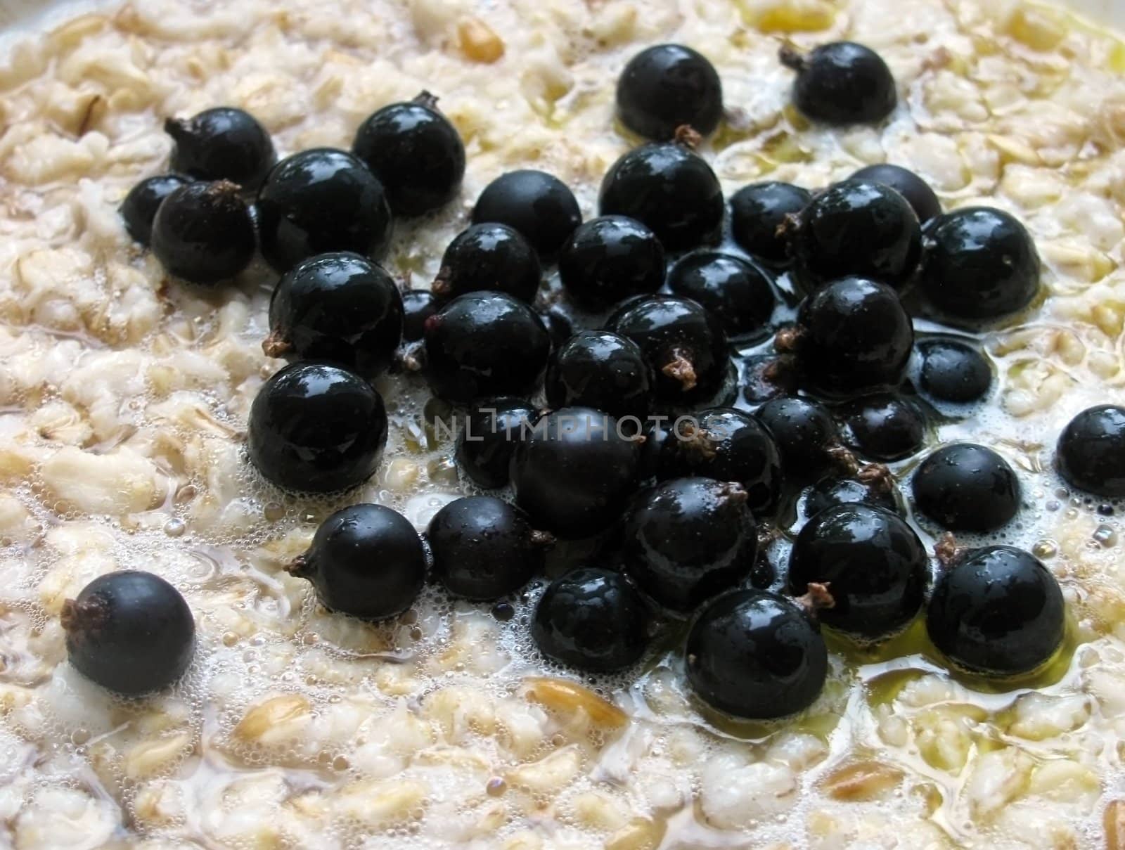 oatmeal porridge with black currants and honey