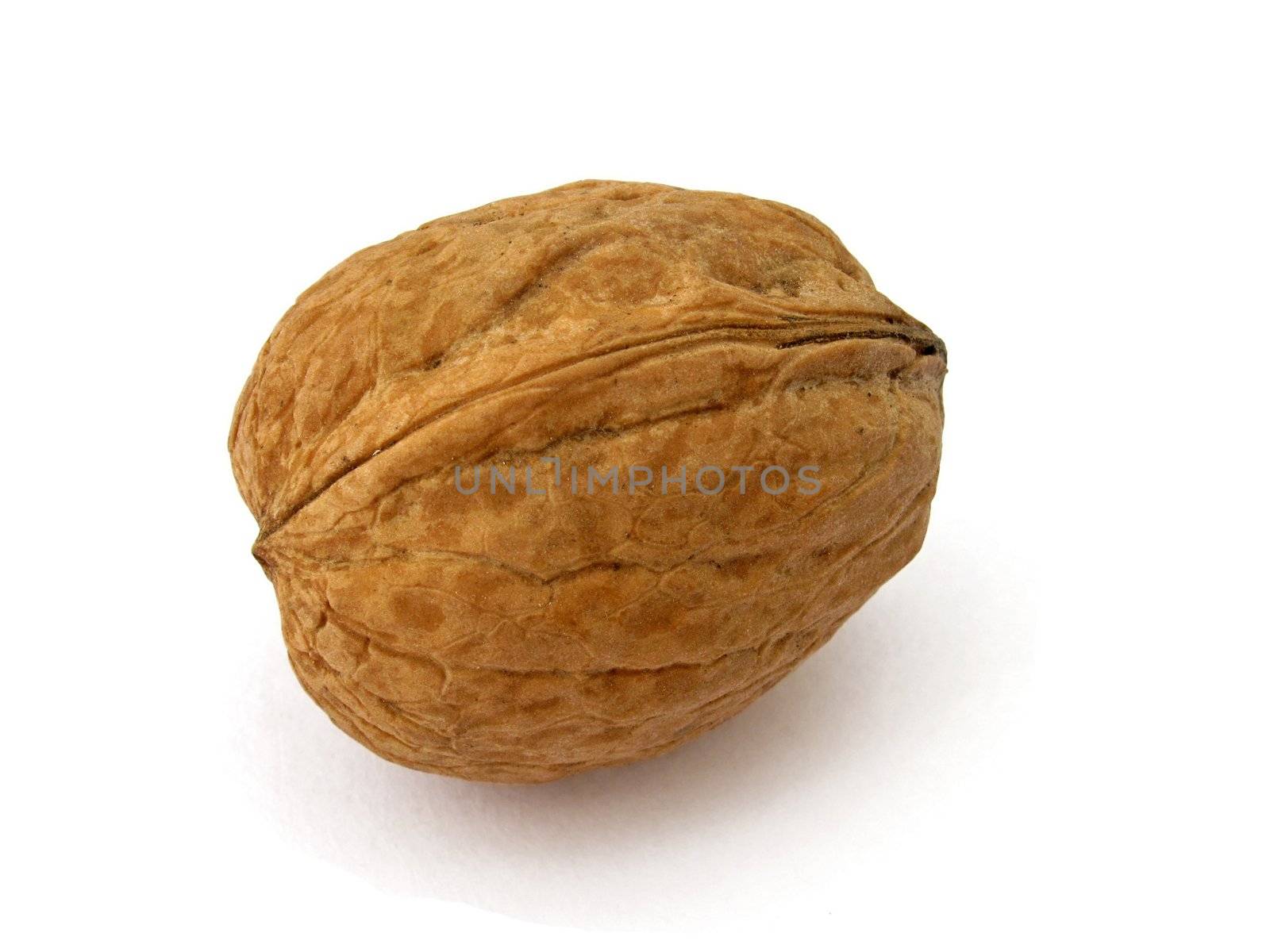 walnut isolated on white
