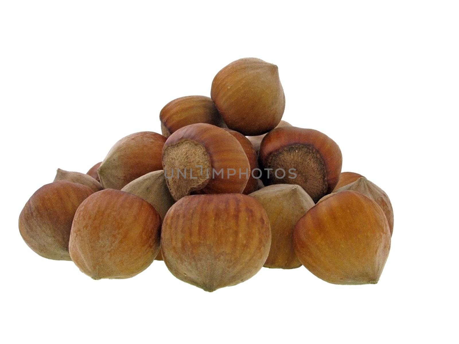 heap of hazelnuts over white