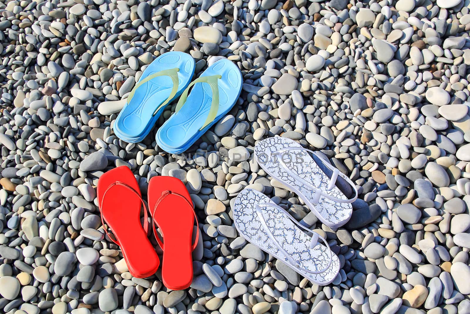 Image of varicoloured feminine schists on beach