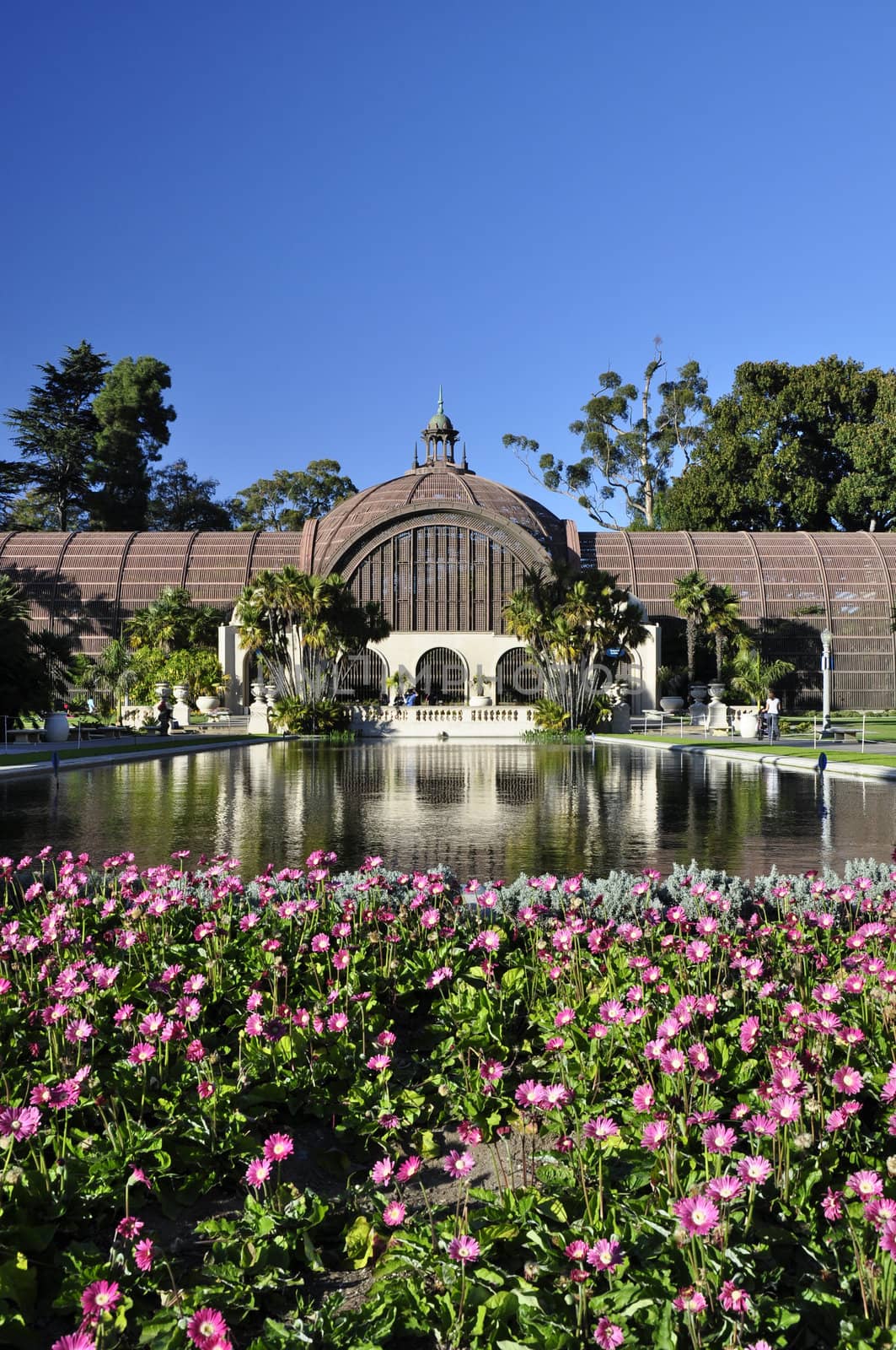 Looking toward the historic Botanical Building in Balboa Park near downtown San Diego.
