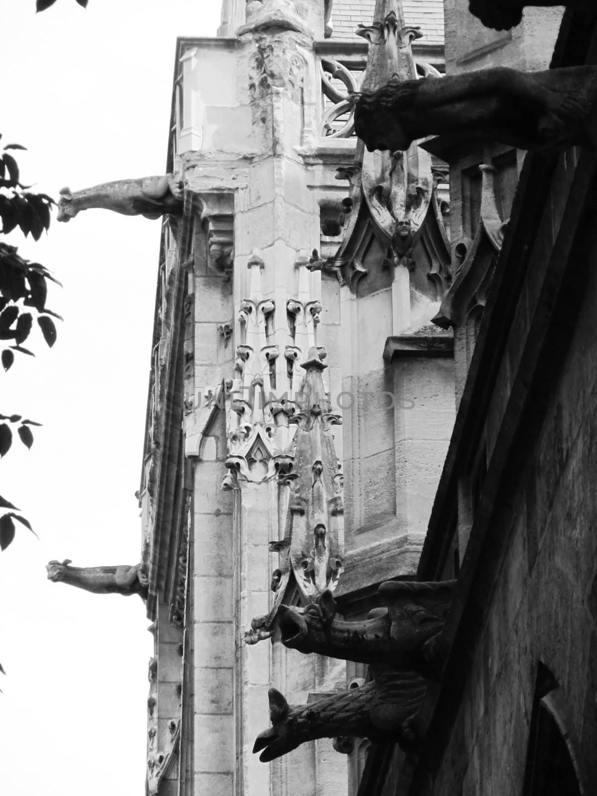    Gothic gargoyles in a medieval building                            