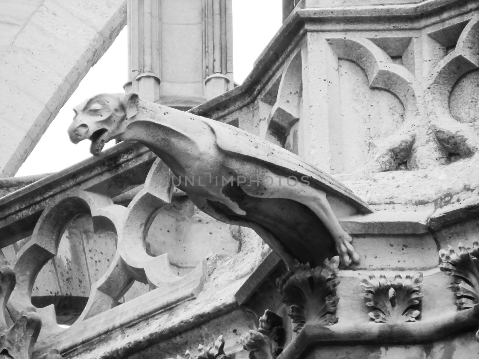 Gargoyle on a gothic monument by etrarte
