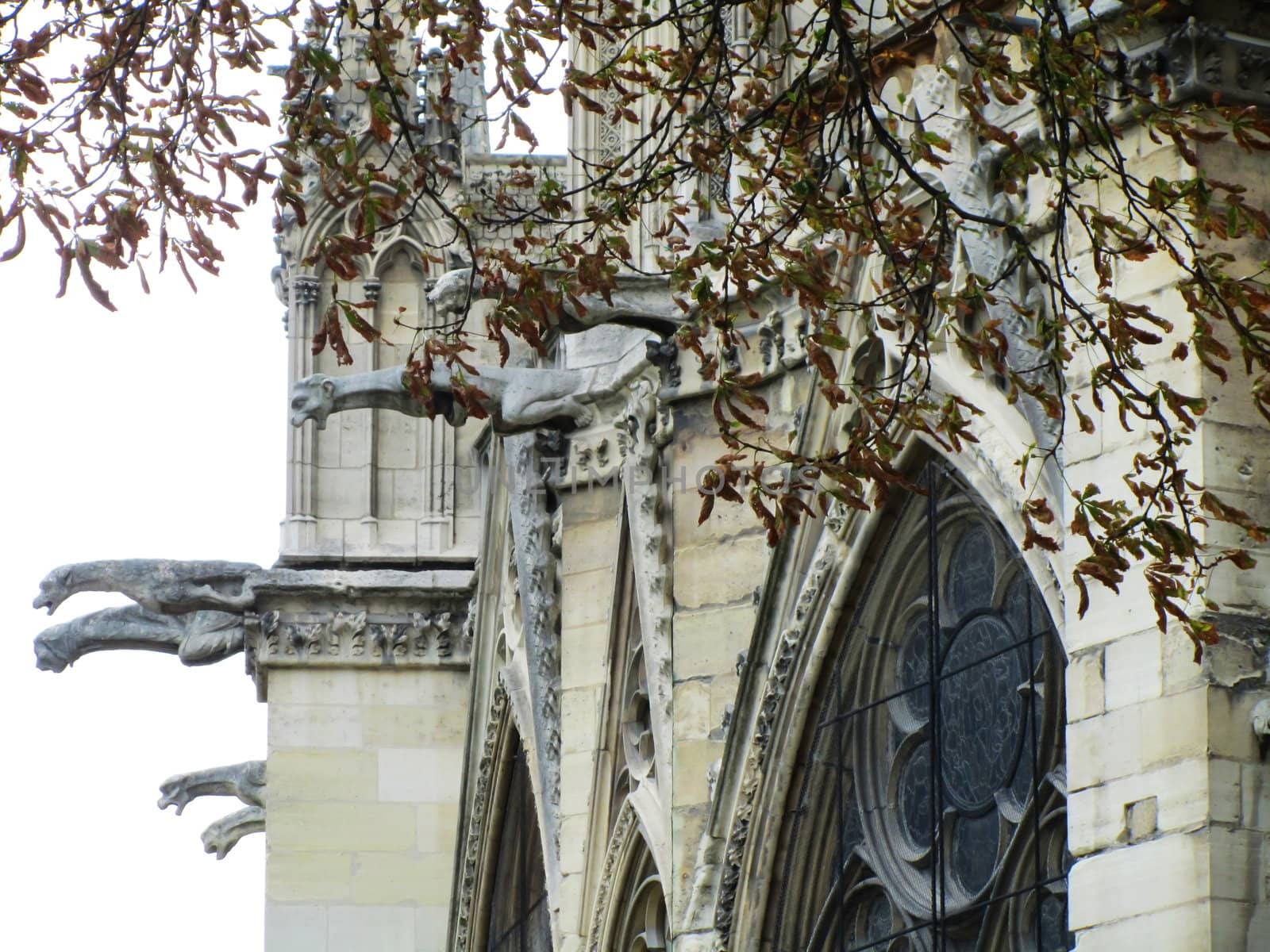 Gothic church with big windows and gargoyles