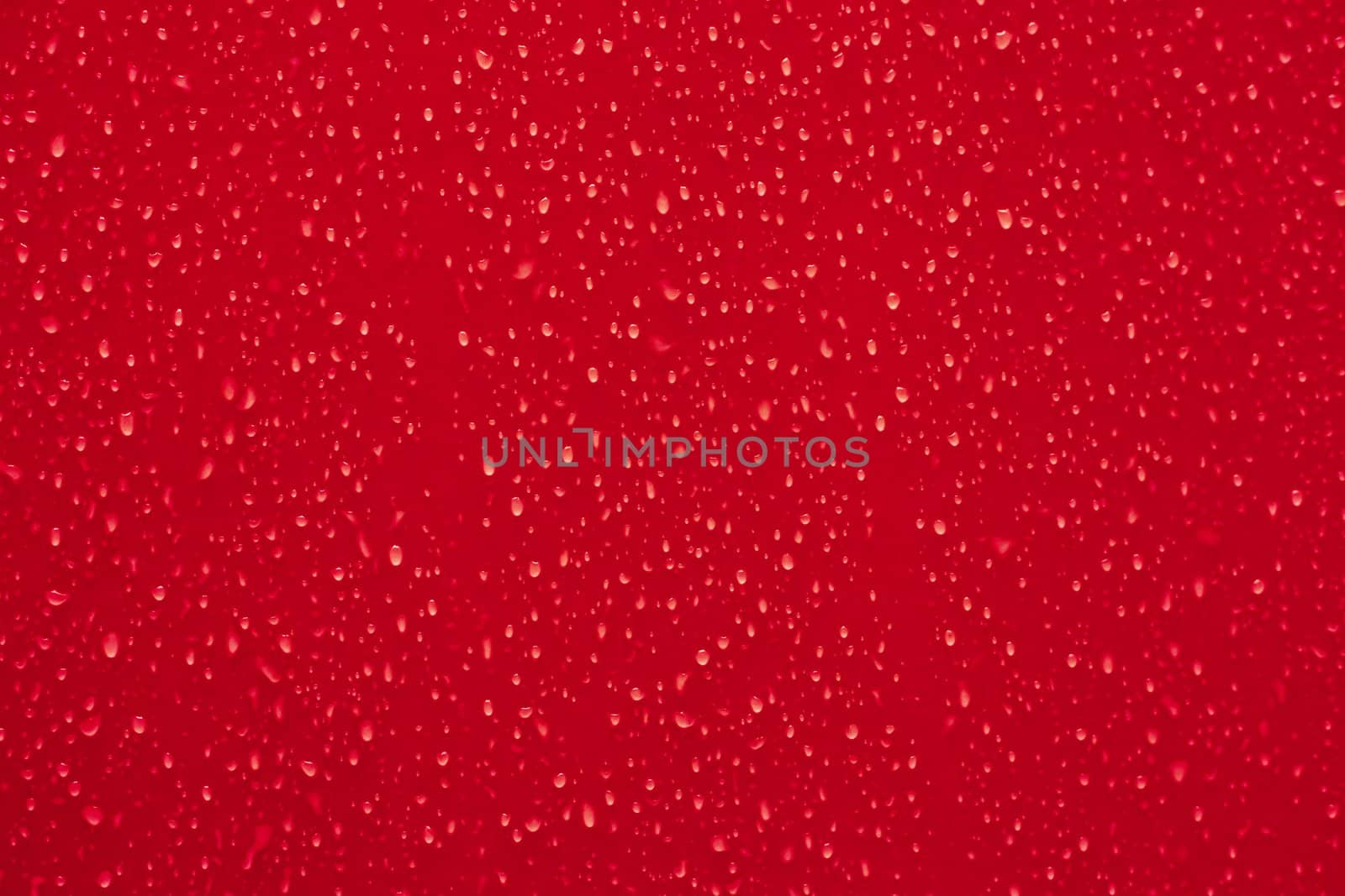 Water droplets on a red surface