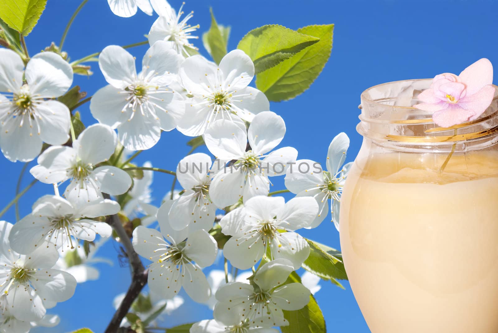 Female cream for care of a skin from natural curative plants and flowers