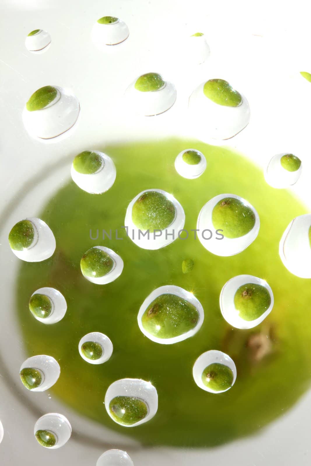 lime water drops