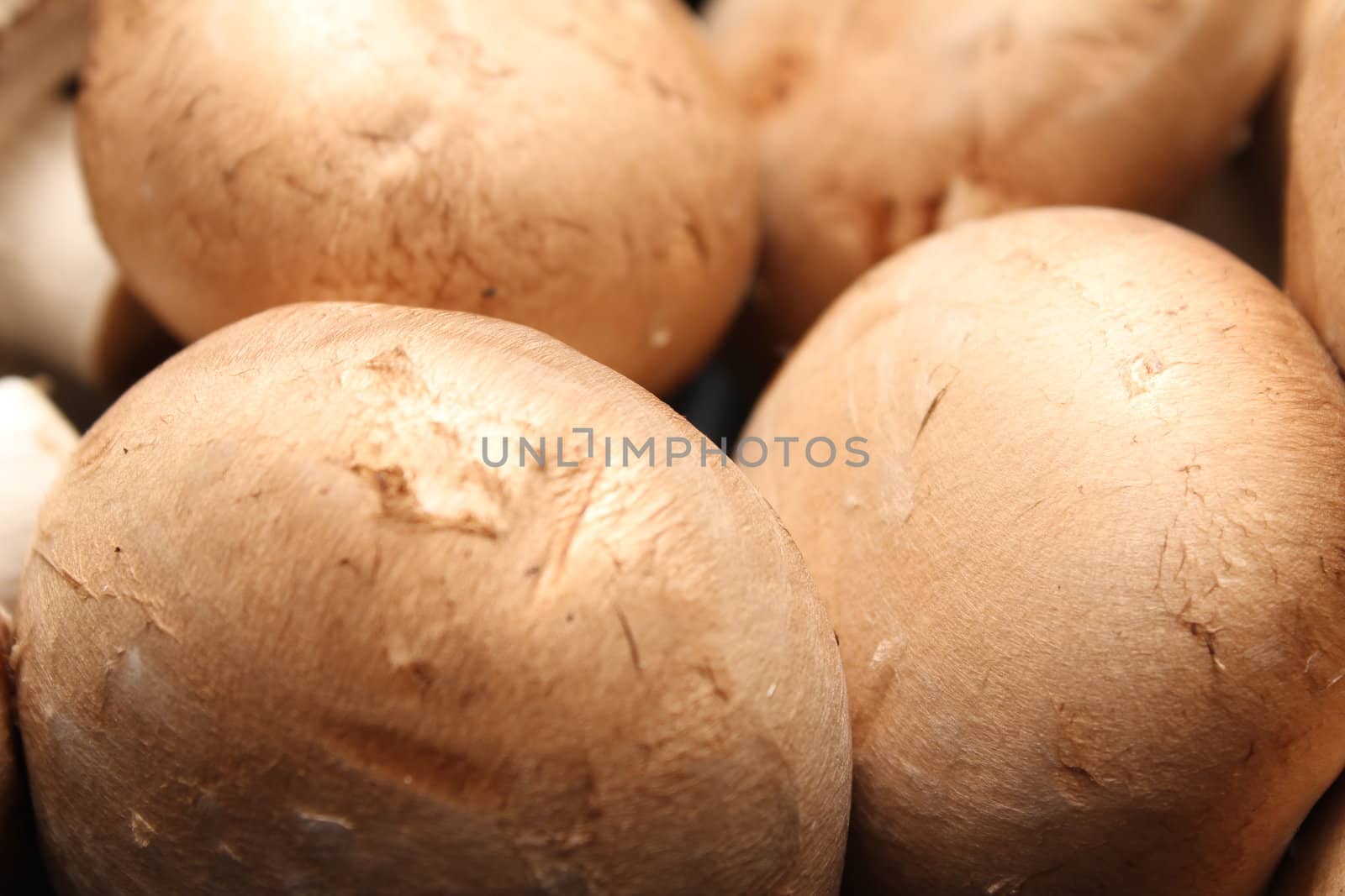 kitchen mushroom heads by Teka77