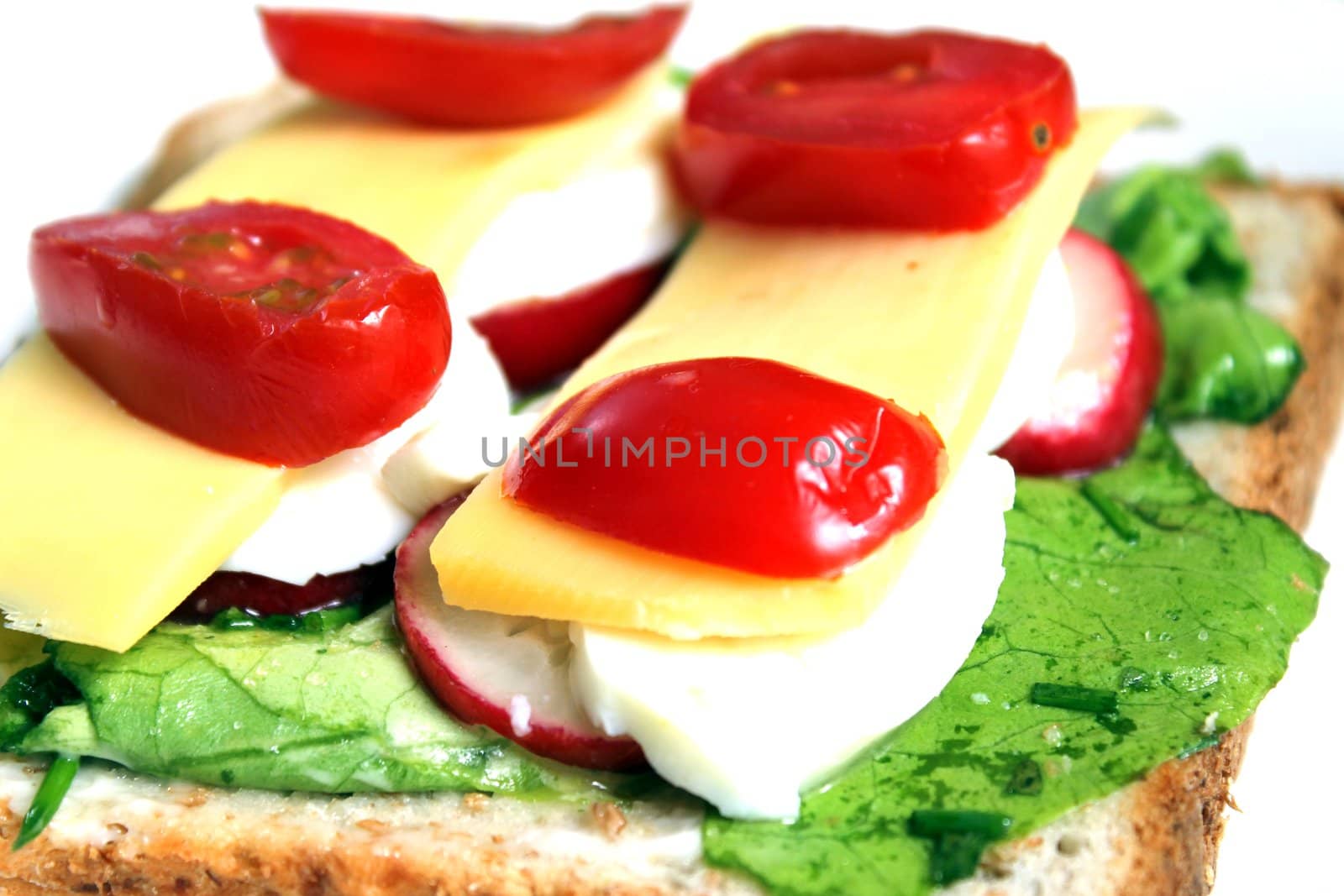 homemade sandwich isolated