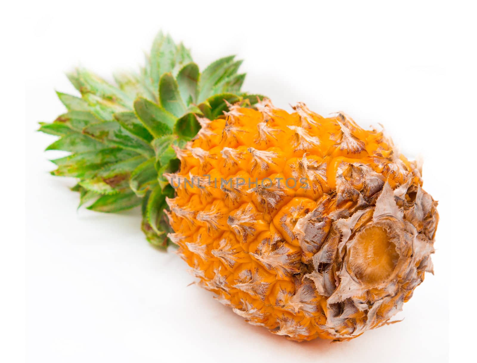 fresh pineapple fruits with green leaf isolated on white background 