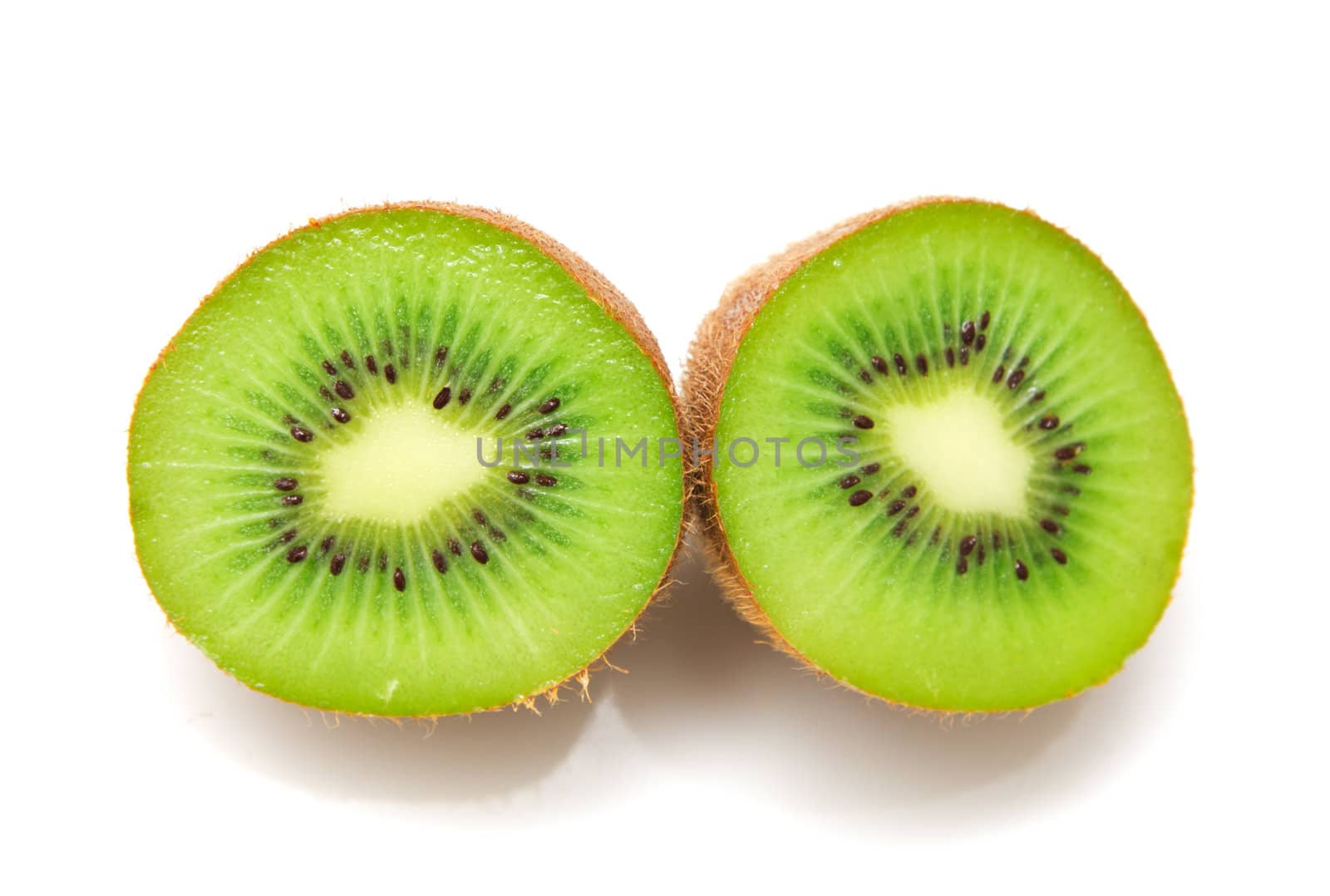 kiwi on a white background by schankz